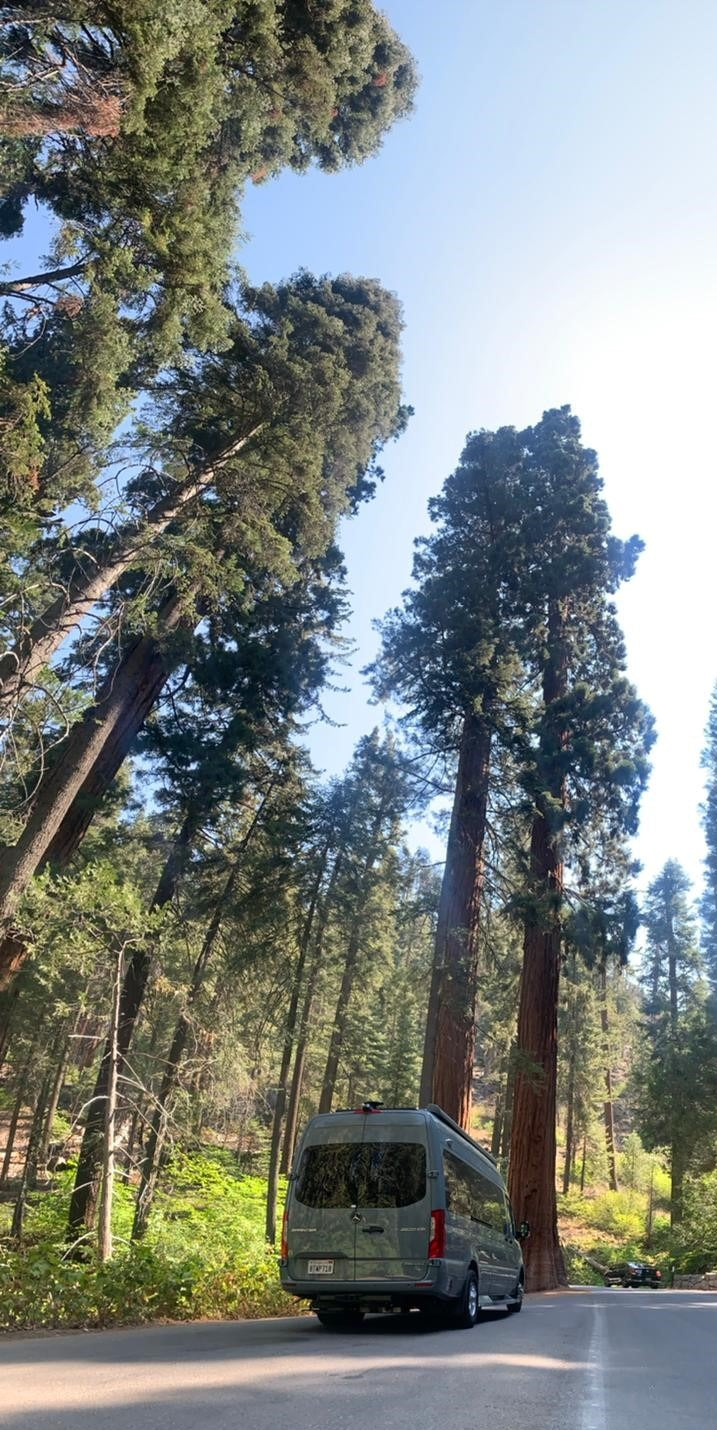 An RV rental parked on a forest road among towering redwoods under a clear sky. Perfect for nature trips!