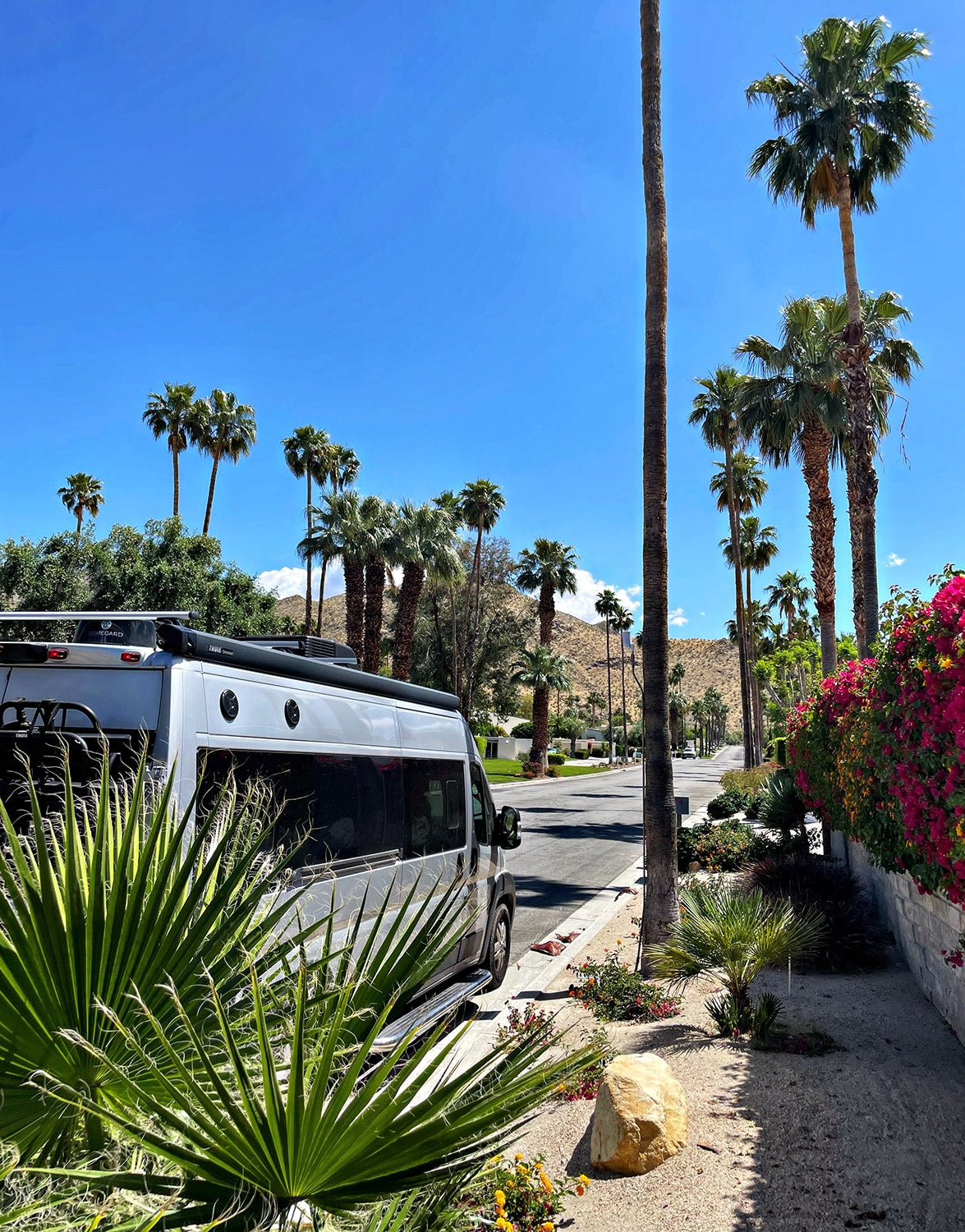 This RV rental camper van parked on a sunny, palm-lined street captures desert travel vibes, with mountains and vibrant flora.