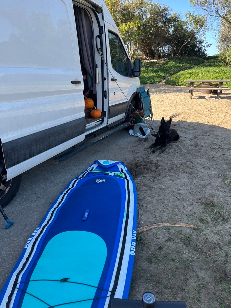 Relaxing at a sandy campsite with an RV rental. A black dog, paddleboard, and pumpkins inside the open camper van door. Outdoor adventure!