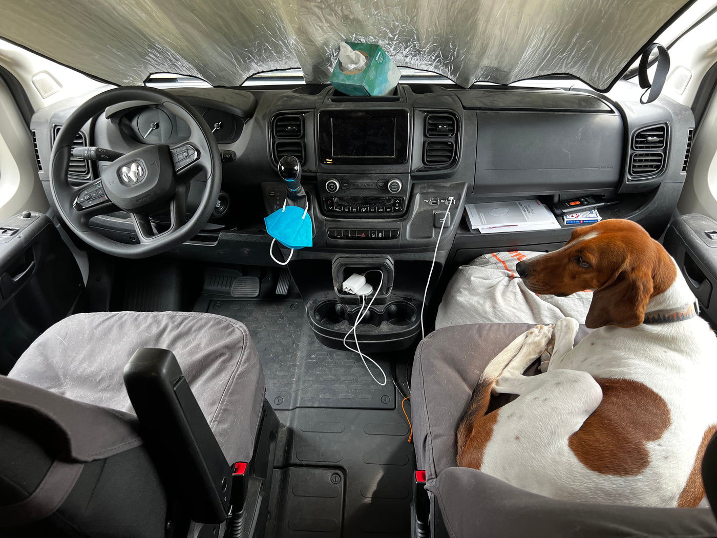 Inside an RV rental: a happy hound dog lounges on the passenger seat, with dashboard and controls visible. — photo 6