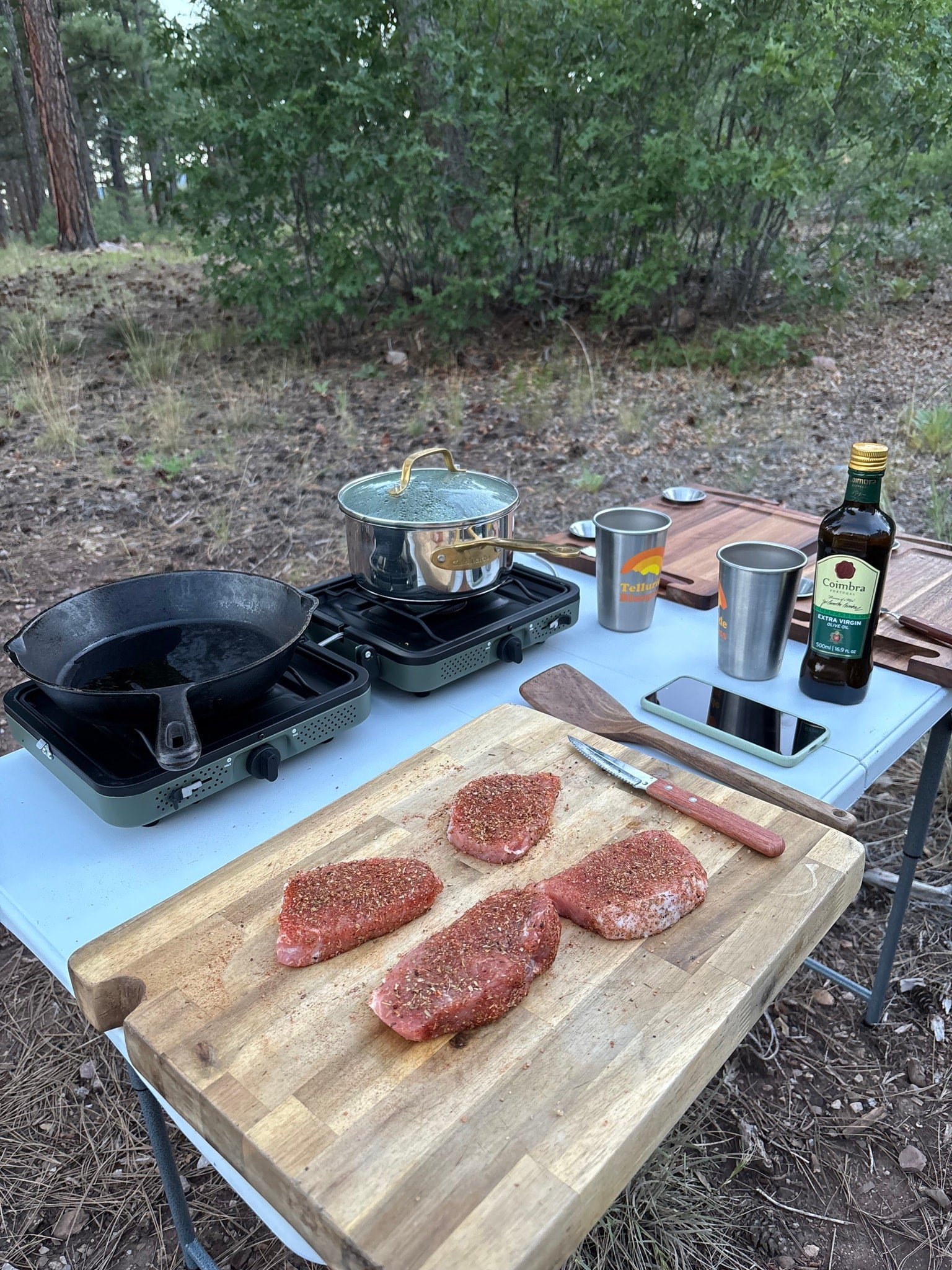 Outdoor cooking during an RV rental trip: seasoned meat, portable stove, skillet, and olive oil, set up in a forest.