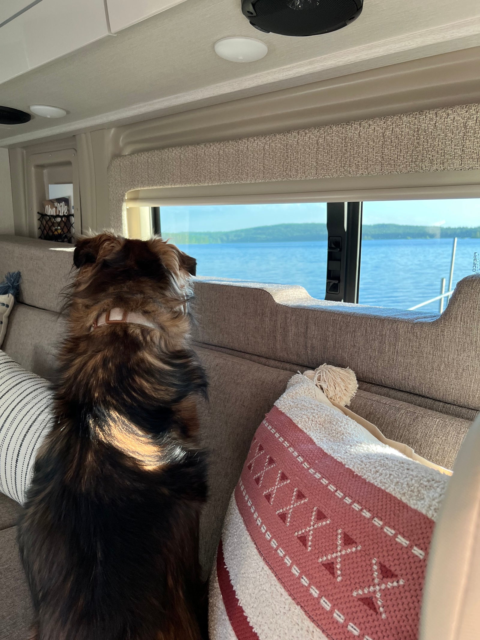 A fluffy dog gazes out the window of an RV rental, enjoying serene water views from the comfortable couch.