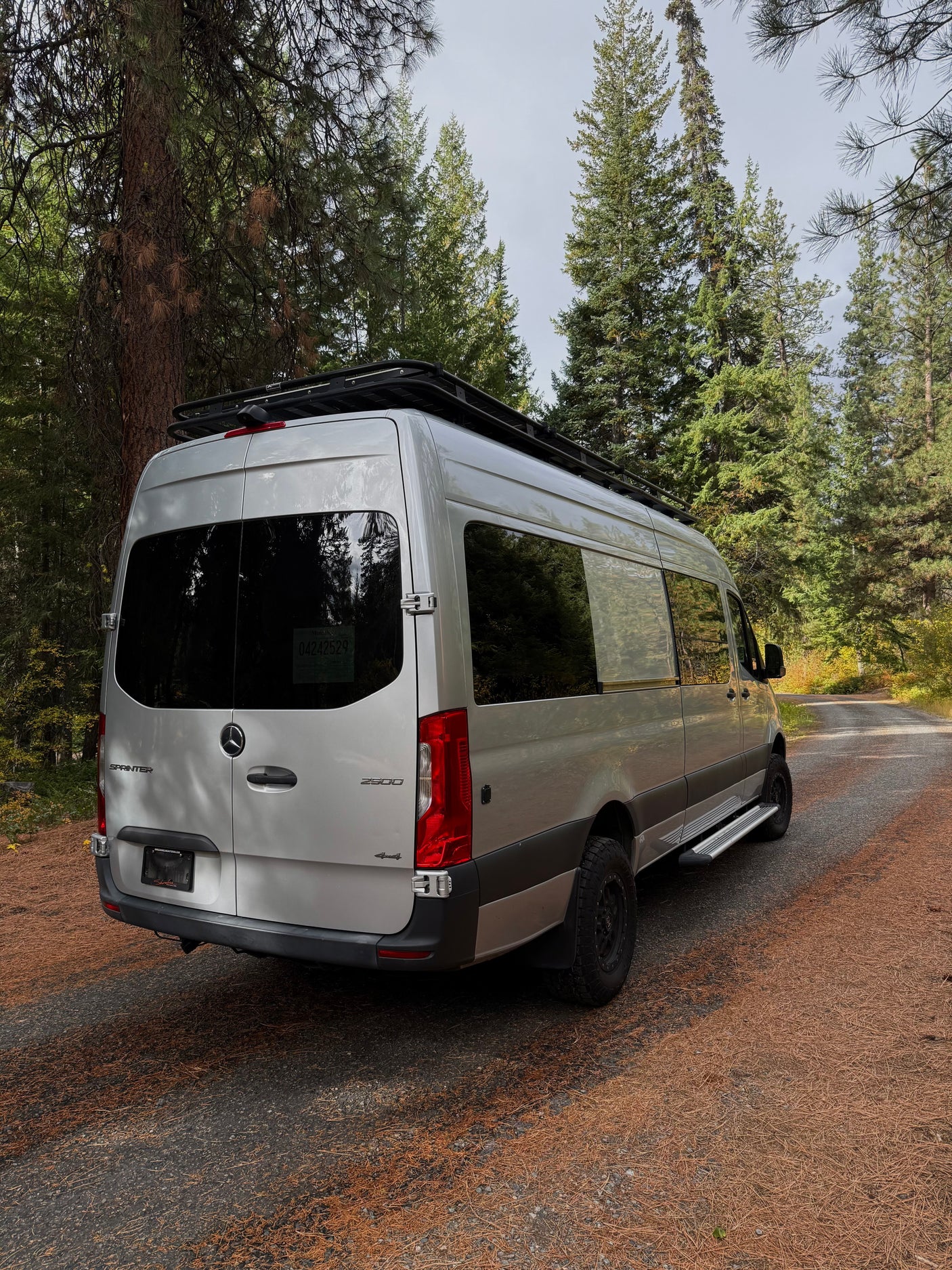 Silver Mercedes Sprinter RV rental van parked on a pine-covered forest road, featuring a roof rack for adventure.
