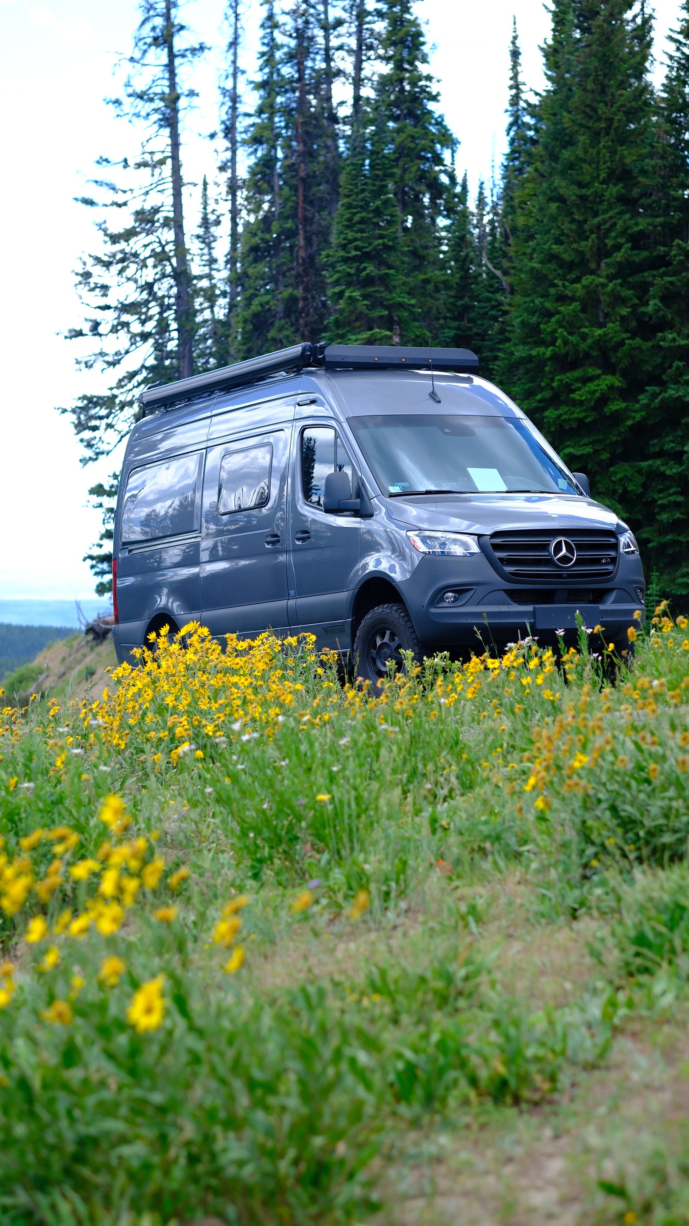 Gray Mercedes Sprinter RV rental amidst vibrant yellow wildflowers and pine trees, ready for your outdoor adventure.