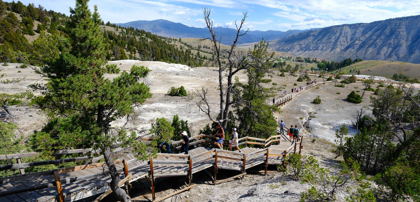 Discover Yellowstone's unique Mammoth Hot Springs landscape via boardwalks. Ideal for an RV rental adventure in nature!