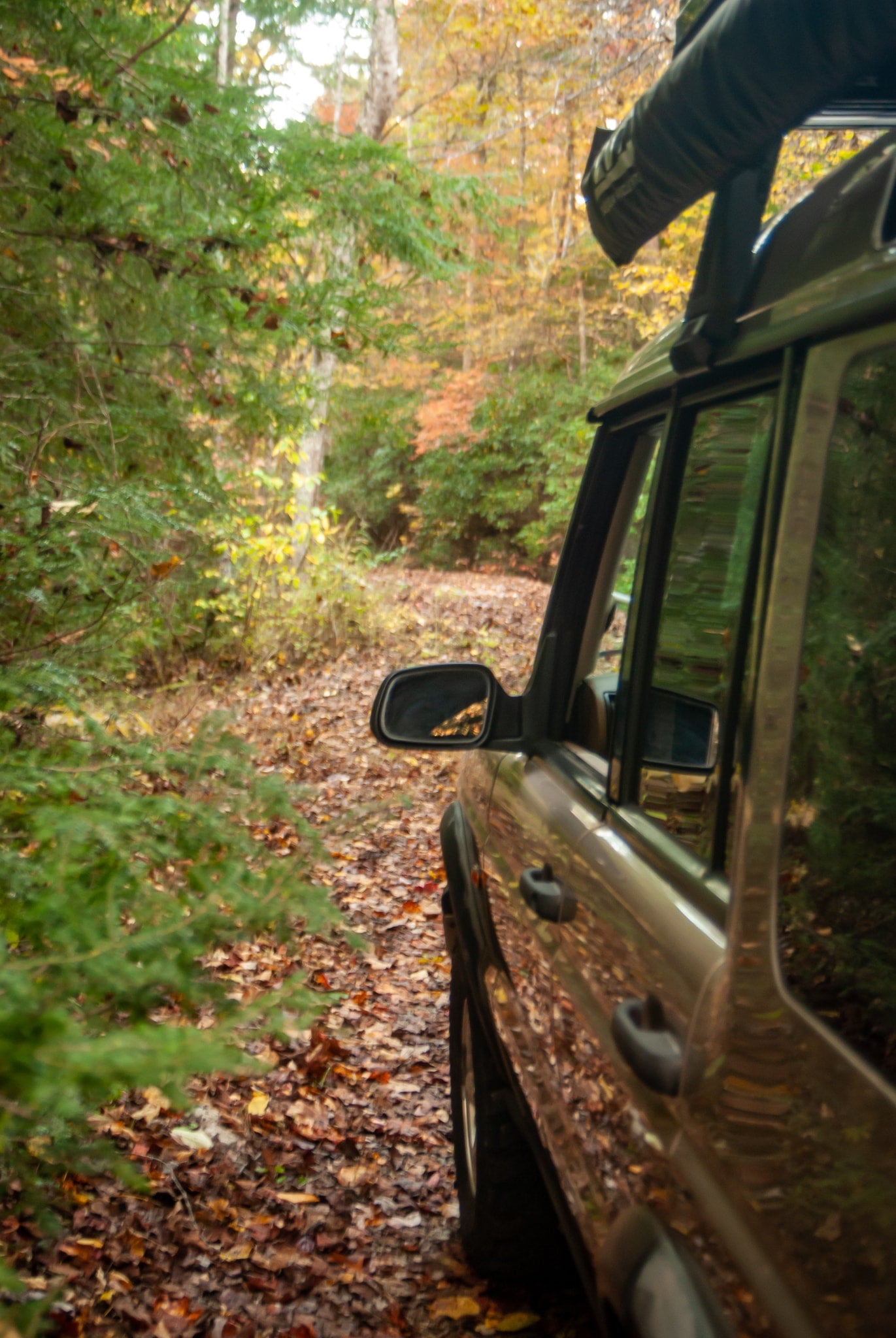 side view. Leaf-strewn path