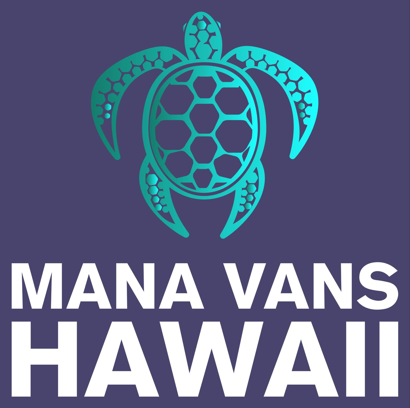 Mana Vans Hawaii RV rental logo with a gradient teal turtle and white text on a purple background.