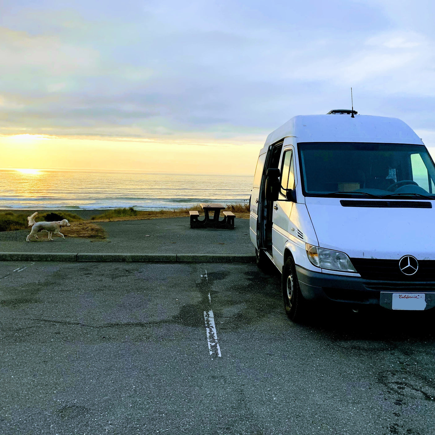 Sunset views from your RV rental: a white camper van parked by the ocean with a dog walking nearby.