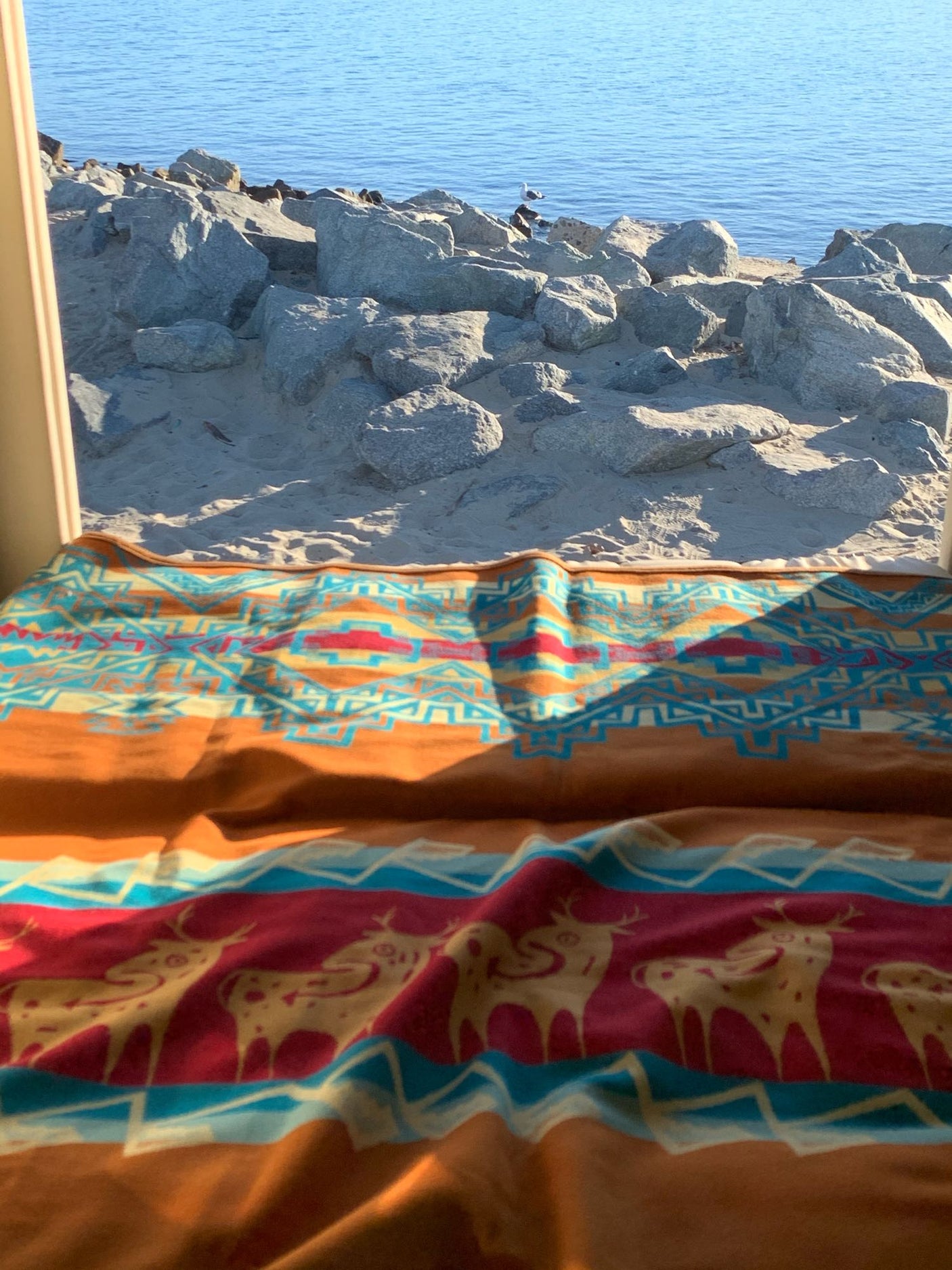 RV rental comfort: A vibrant blanket lays inside, looking out to rocks, a seagull, and serene blue water.