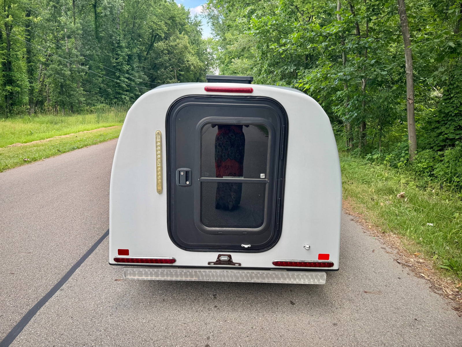 Rear view of a white compact RV rental on a tree-lined road, reflecting lush green surroundings.