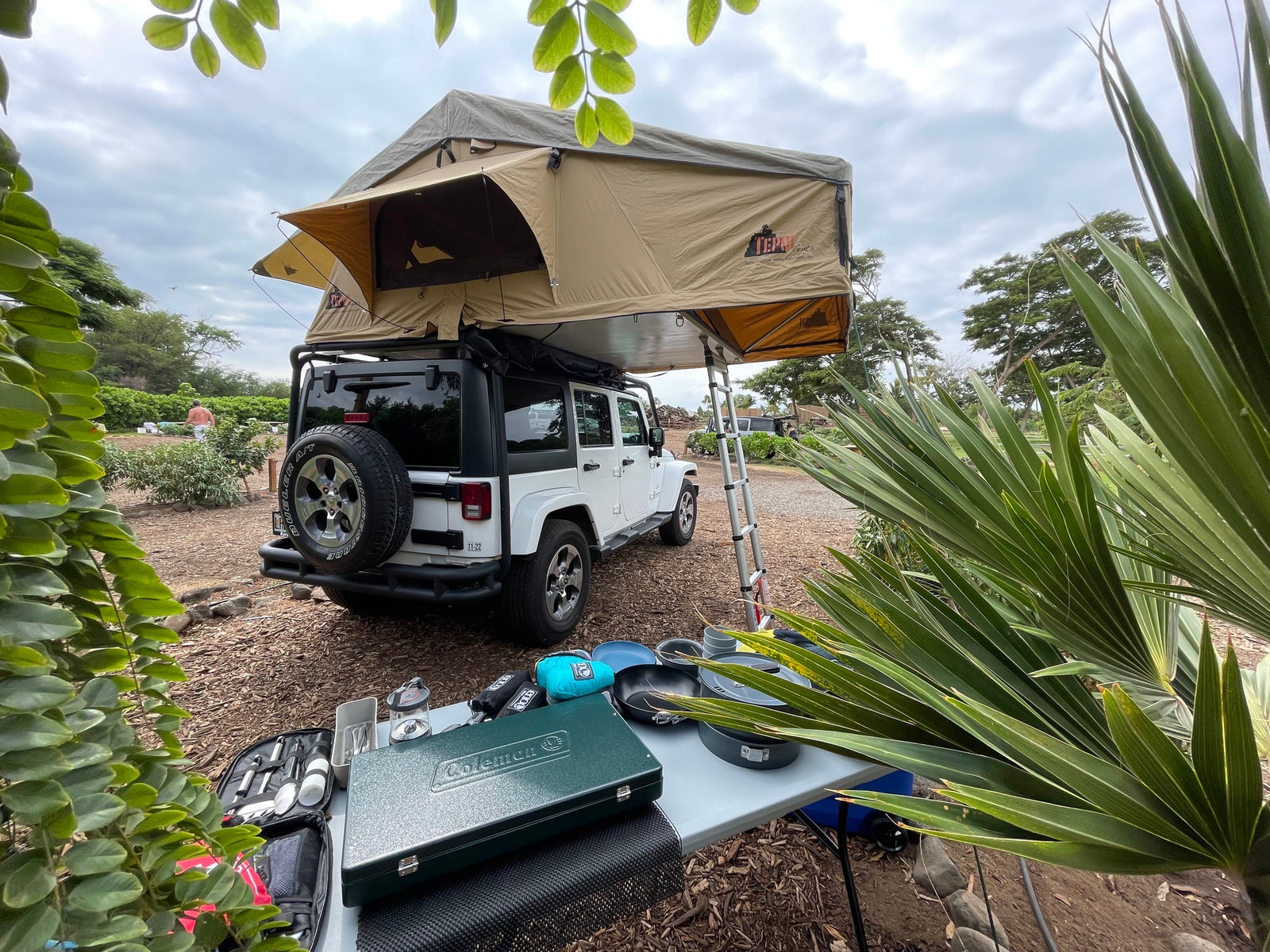 This Jeep with a Tepui rooftop tent offers an RV rental experience for outdoor adventures and camping.