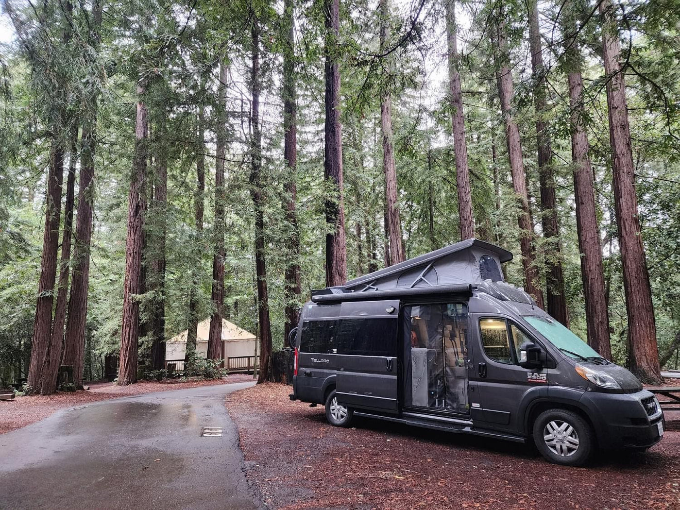 under cloudy skies.|Dark gray rv rental parked at a forest campsite with towering redwood trees. Pop-top extended — photo 3