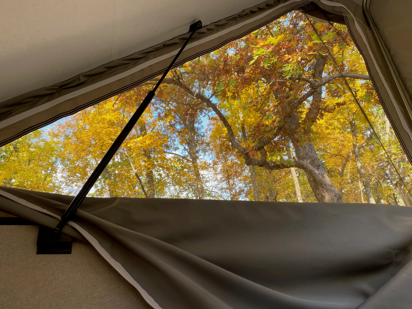 View from an RV rental: vibrant autumn trees through a pop-up camper's screened window, framed by light fabric and a support strut.