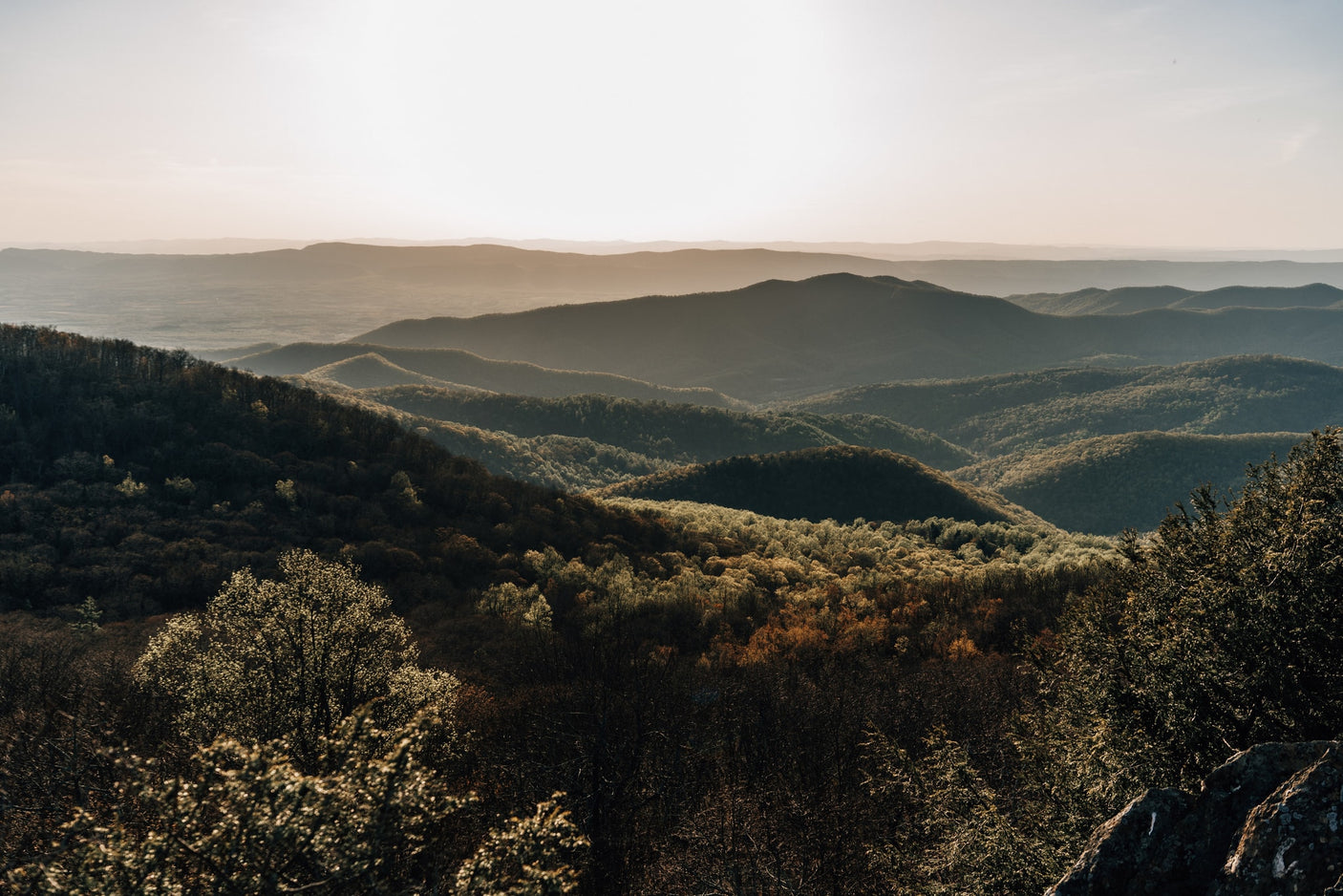 Hazy mountain ranges fading into the distance, with sunlit trees in the foreground. Perfect for an RV rental trip!