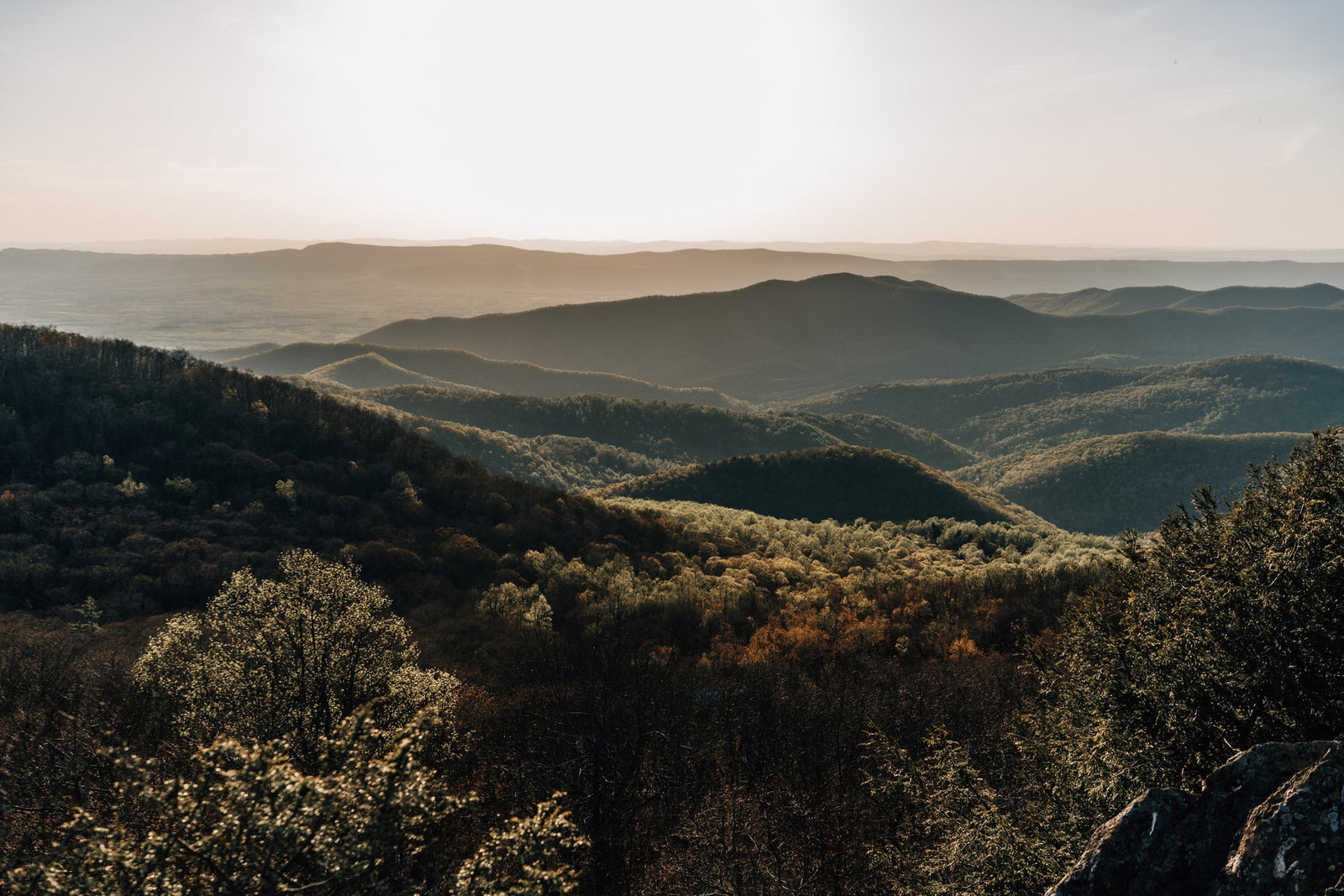 Hazy mountain ranges fading into the distance, with sunlit trees in the foreground. Perfect for an RV rental trip!