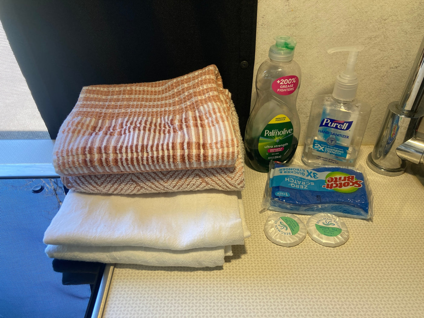 RV rental kitchen and bath essentials: towels, Palmolive soap, Purell, Scotch-Brite sponges, and Bergman Kelly soaps. — photo 19