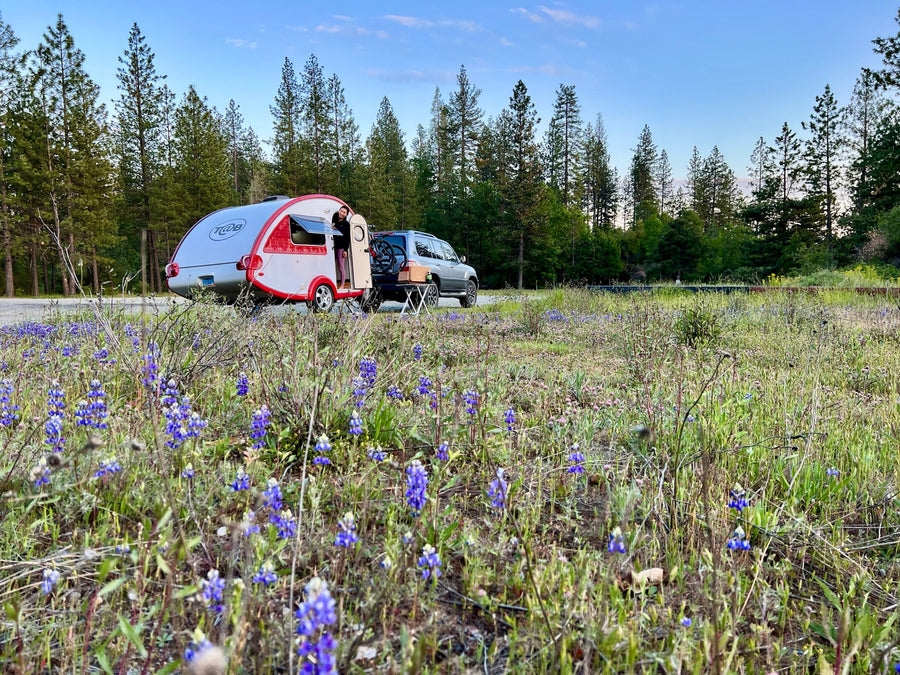 perfect for an RV rental adventure in nature.|RV rental teardrop camper at a scenic stop