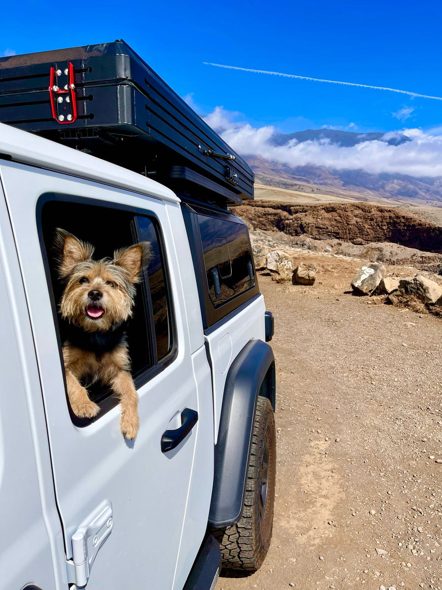 features a rooftop tent & awning for comfortable camping by bamboo.|White Jeep Gladiator RV rental with open camper shell