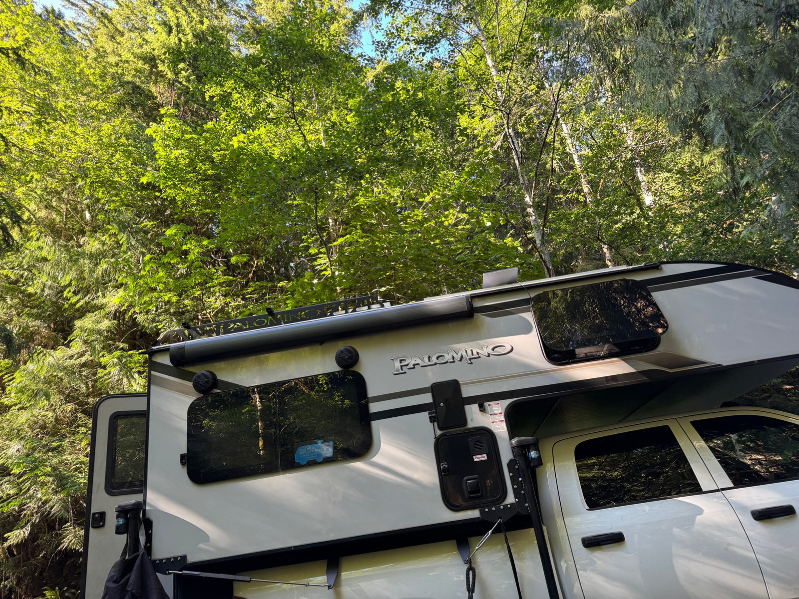 A white Palomino truck camper, great for an RV rental, set against a backdrop of bright green forest foliage.