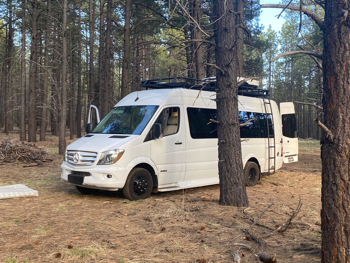 White Mercedes Sprinter RV rental parked in a tall pine forest, ready for outdoor van life adventures.