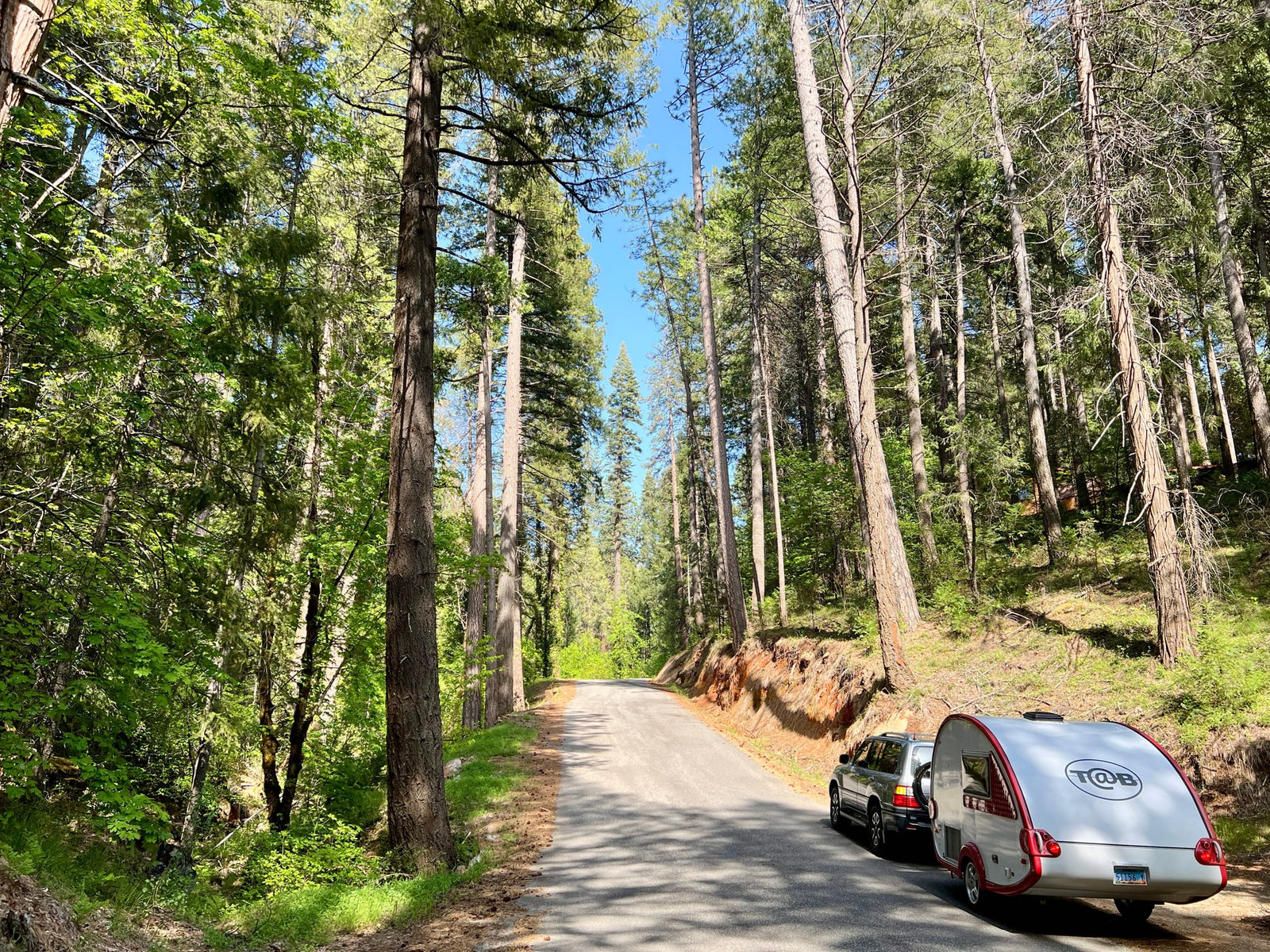 sunlit forest.|Cozy rv rental interior featuring a compact kitchen