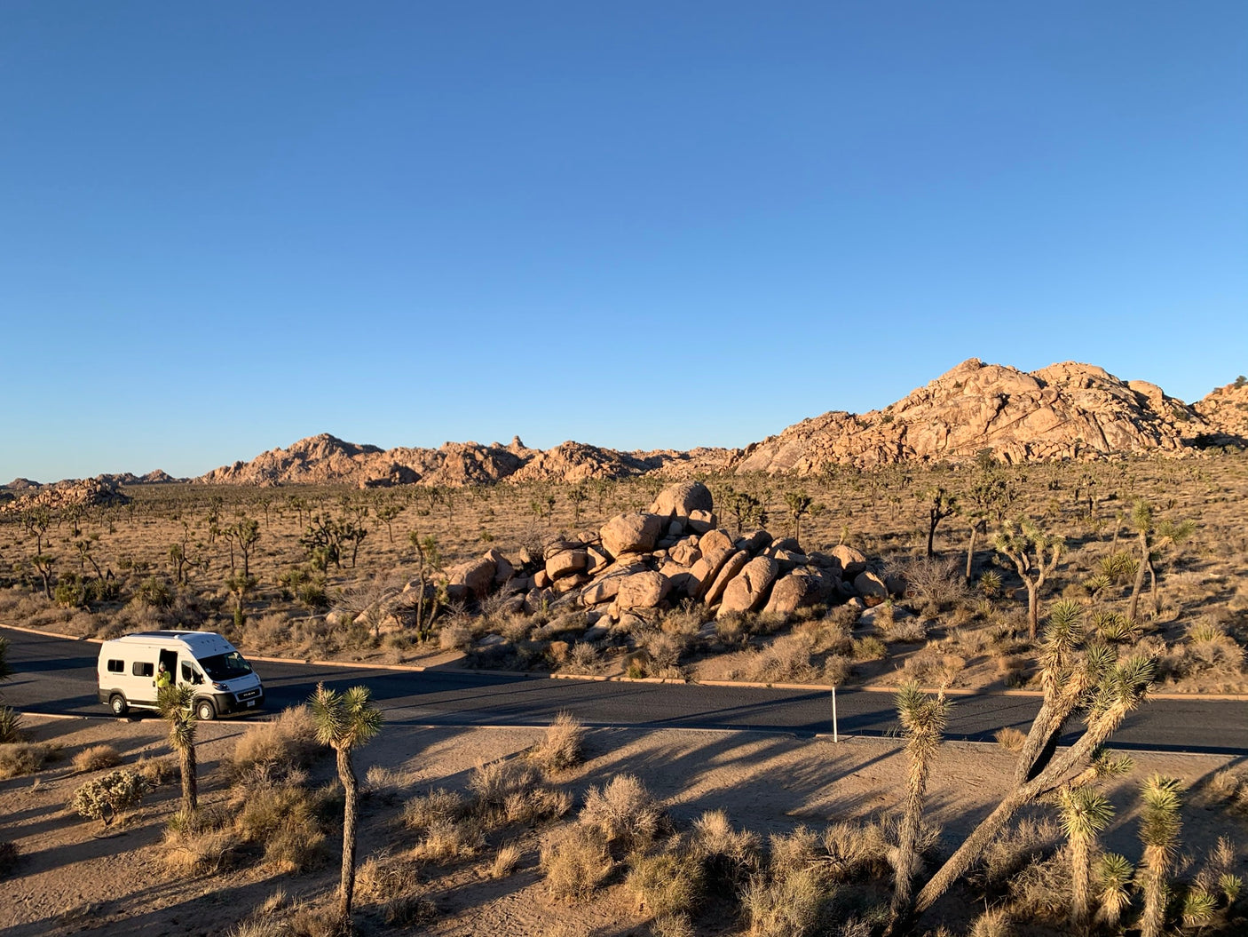 White rv rental on a road in Joshua Tree National Park. Desert landscape with unique flora and rock formations.