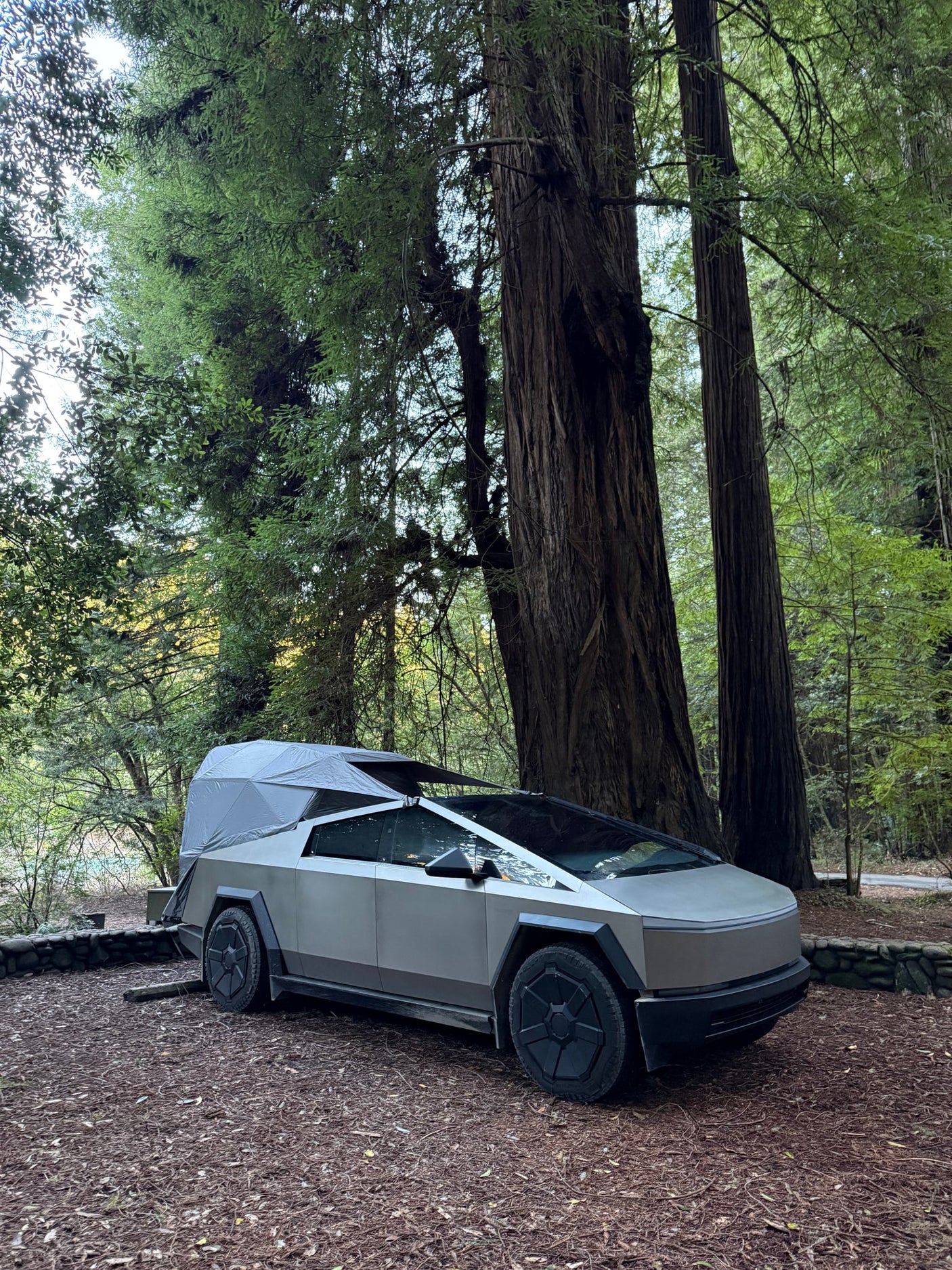 Tesla Cybertruck with a camping tent setup, ideal for an RV rental adventure among towering redwood trees.