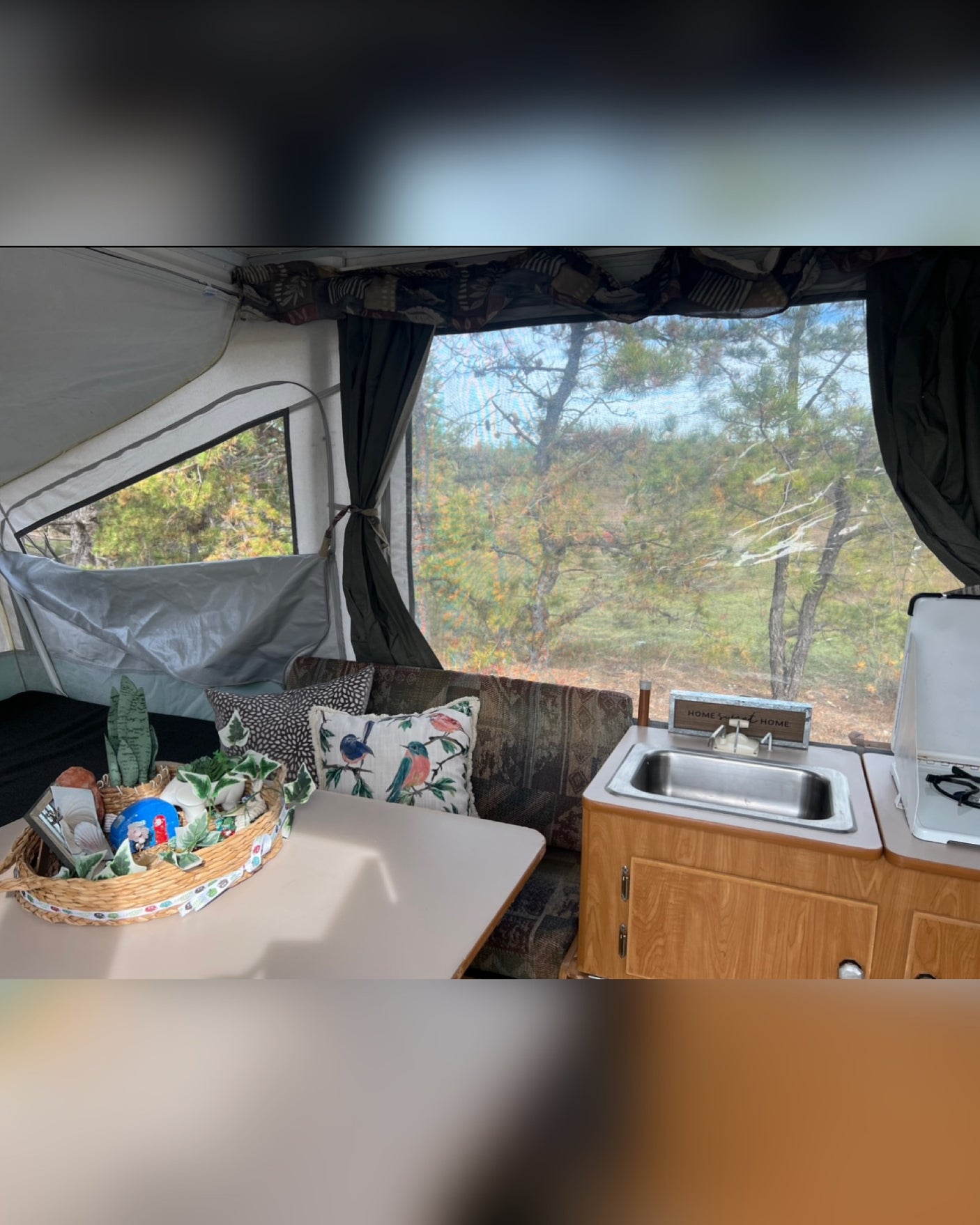 Cozy RV rental interior with dining, kitchen, and nature views through large windows, ideal for travel.
