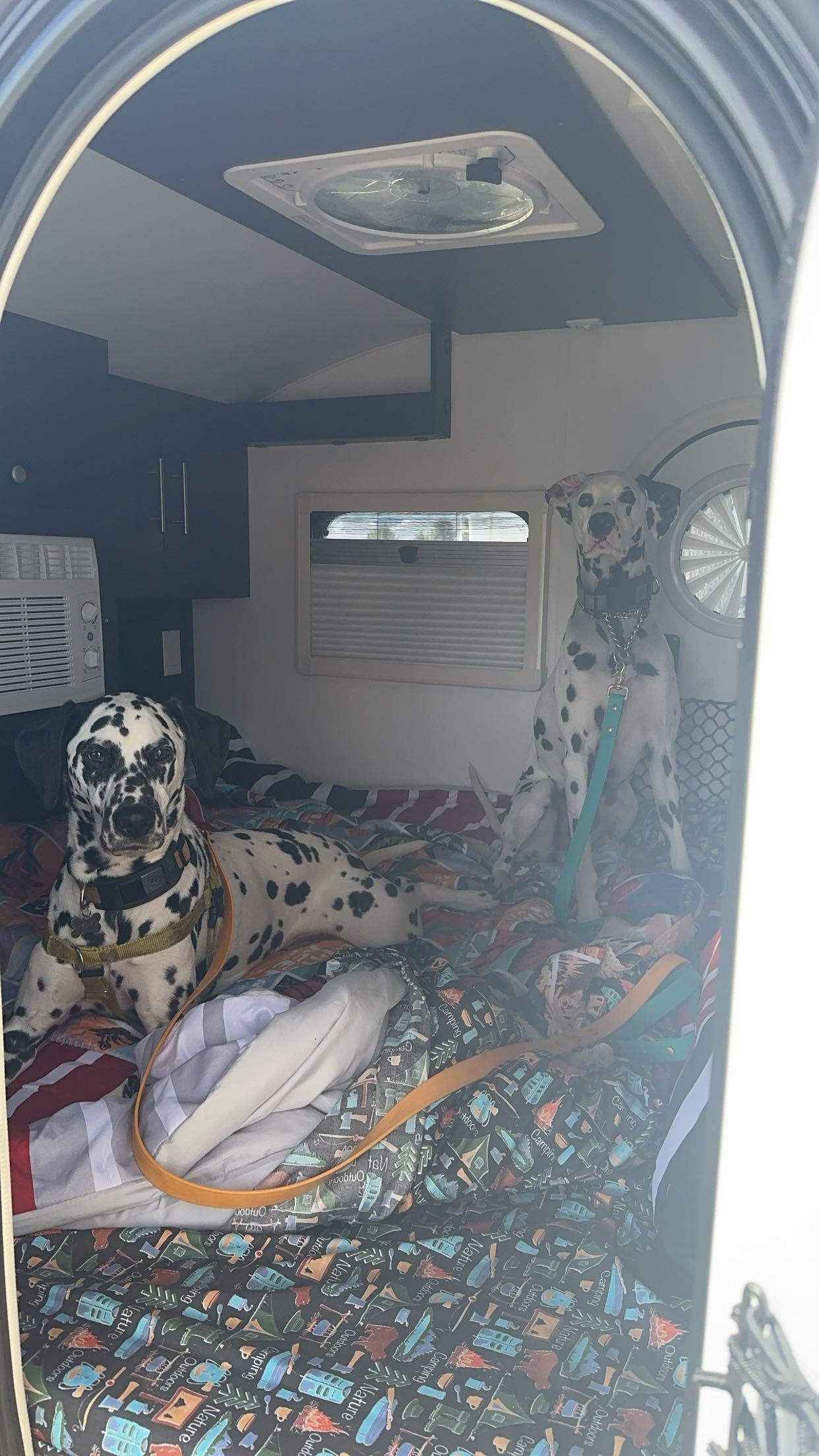 surrounded by tall trees. Ideal for a nature camping trip.|This teardrop camper RV rental by a river