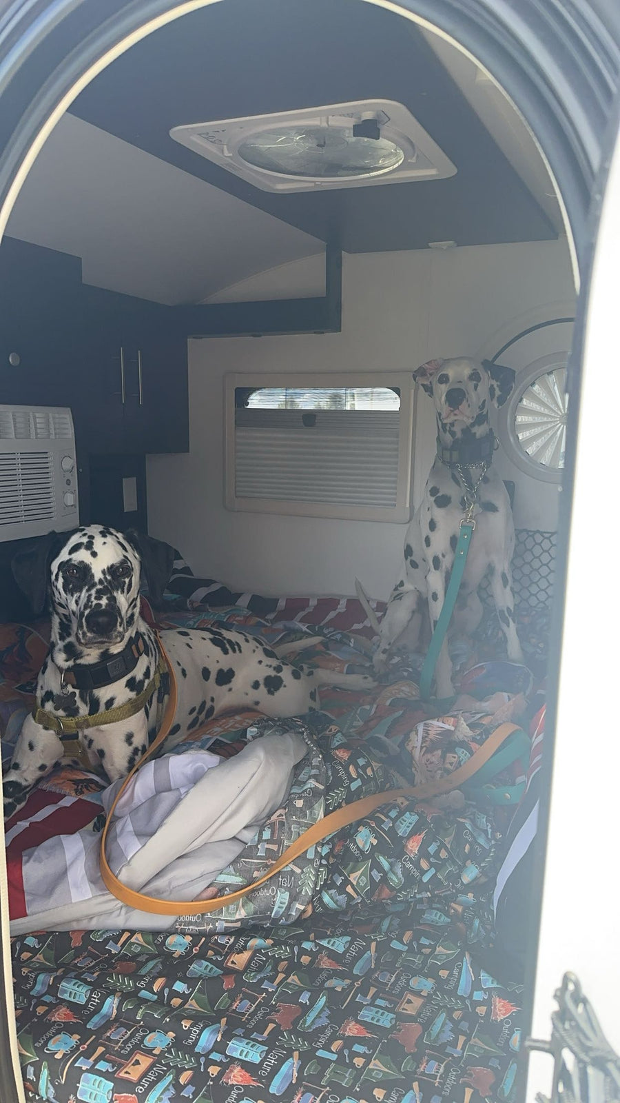 surrounded by tall trees. Ideal for a nature camping trip.|This teardrop camper RV rental by a river