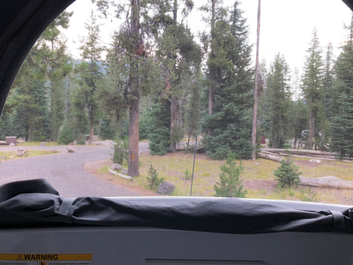 Serene view from an RV rental through a screen, revealing a forest, paved campground road, and green campsite grass.