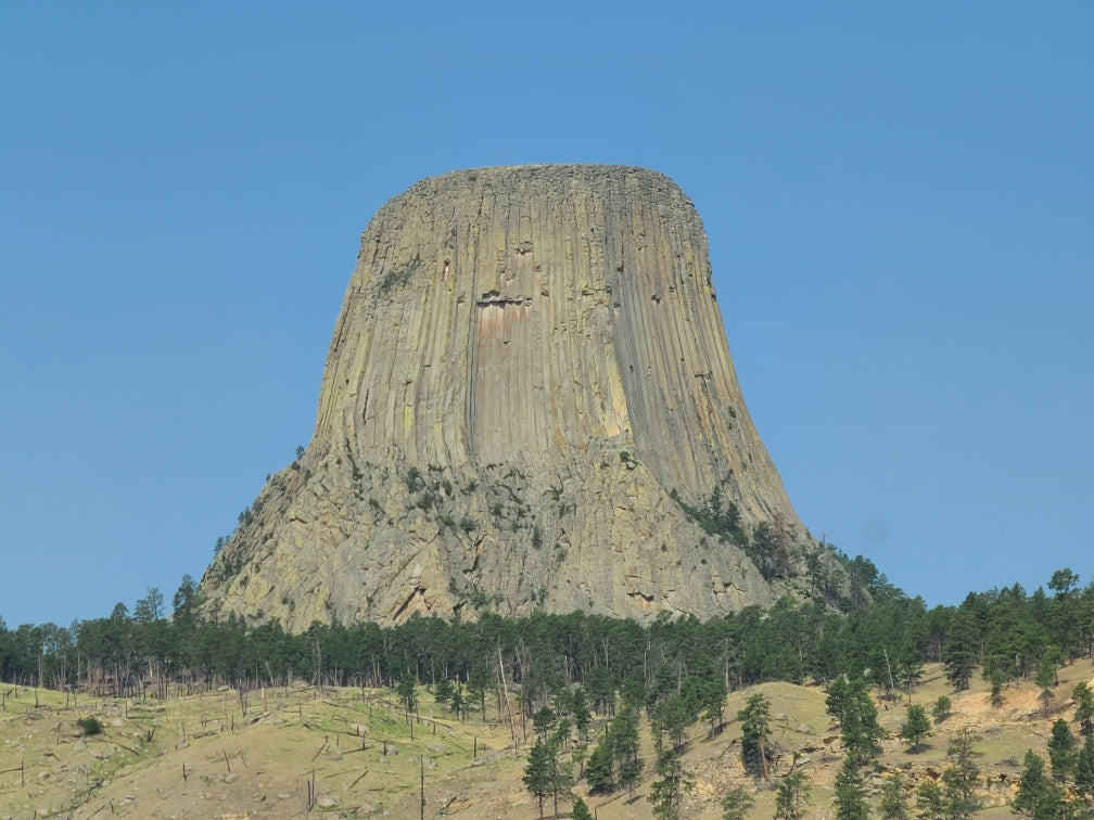 Devils Tower National Monument, a unique rock formation with vertical columns, under a clear sky.