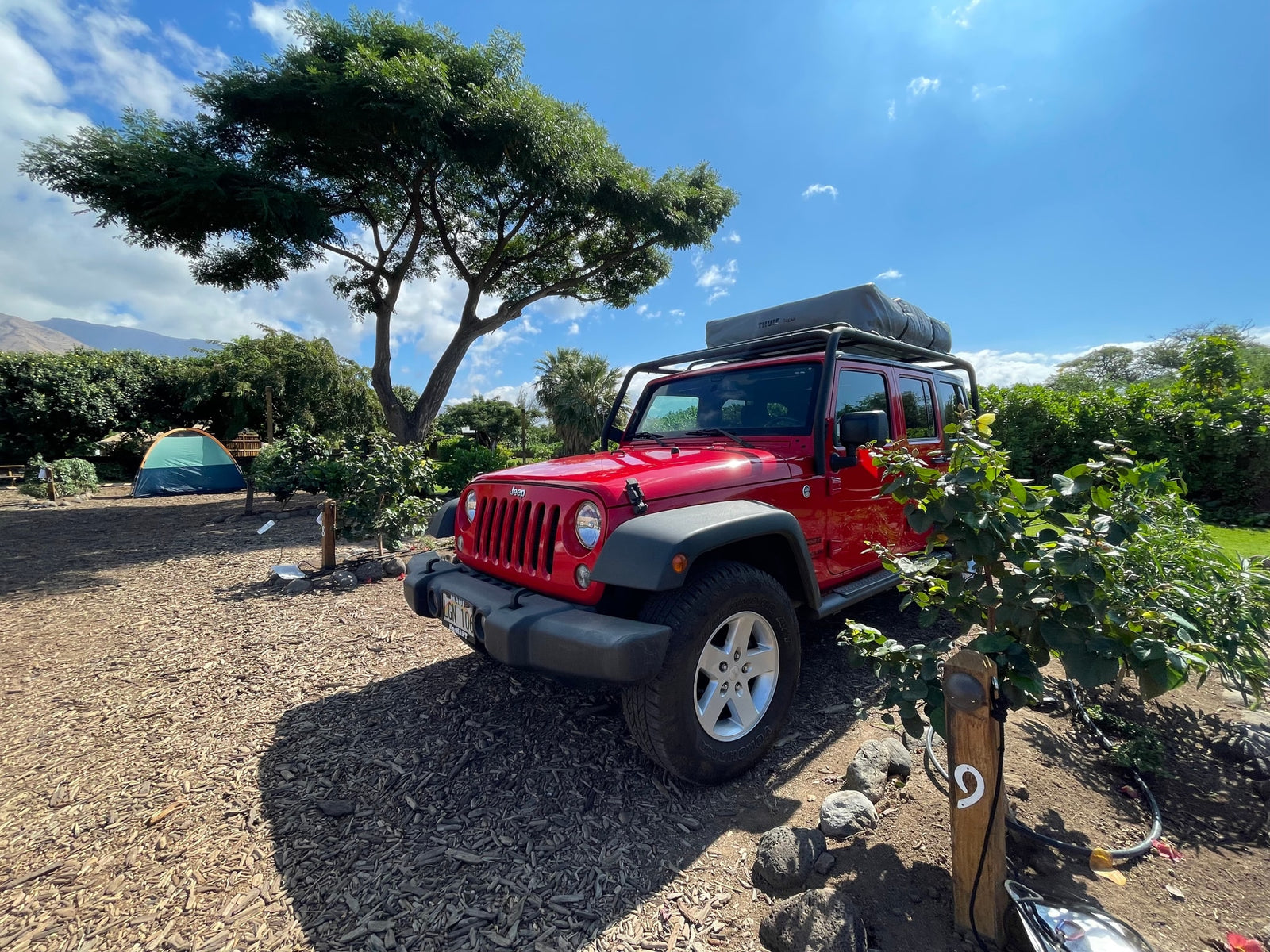 Red Jeep with rooftop tent at a sunny Maui campsite (site 9) and a green tent. Perfect for an rv rental adventure!