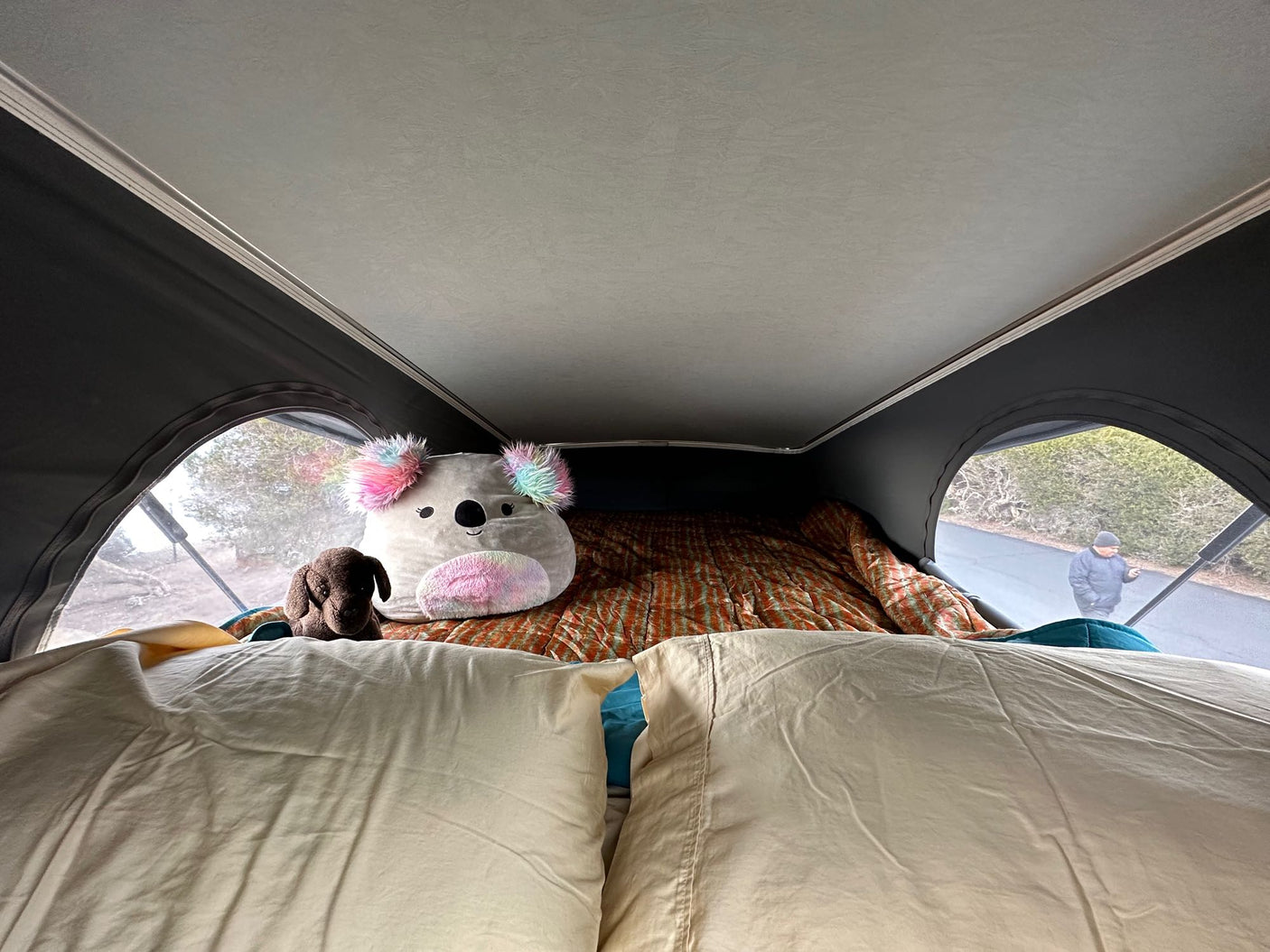 Inside a comfy RV rental: bed, pillows, and plush toys. Pop-top windows reveal the road outside. Ideal for adventure!