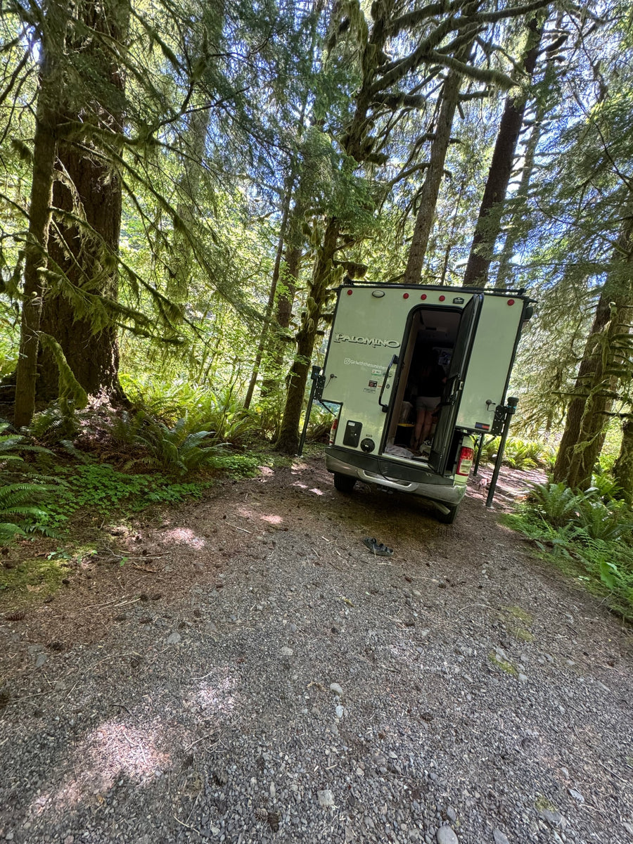 Palomino RV rental camper parked on a gravel path under mossy forest trees. A person is seen inside the open door.