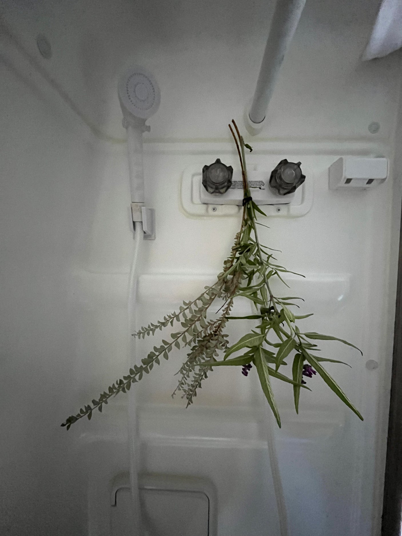 RV rental's compact shower with fresh herbs and purple flowers hanging, offering a natural and refreshing feel.