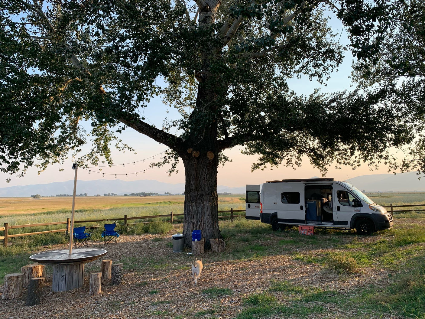 Relaxing under a big tree at a serene outdoor camp with an RV rental, lights, & a dog enjoying the vast fields.