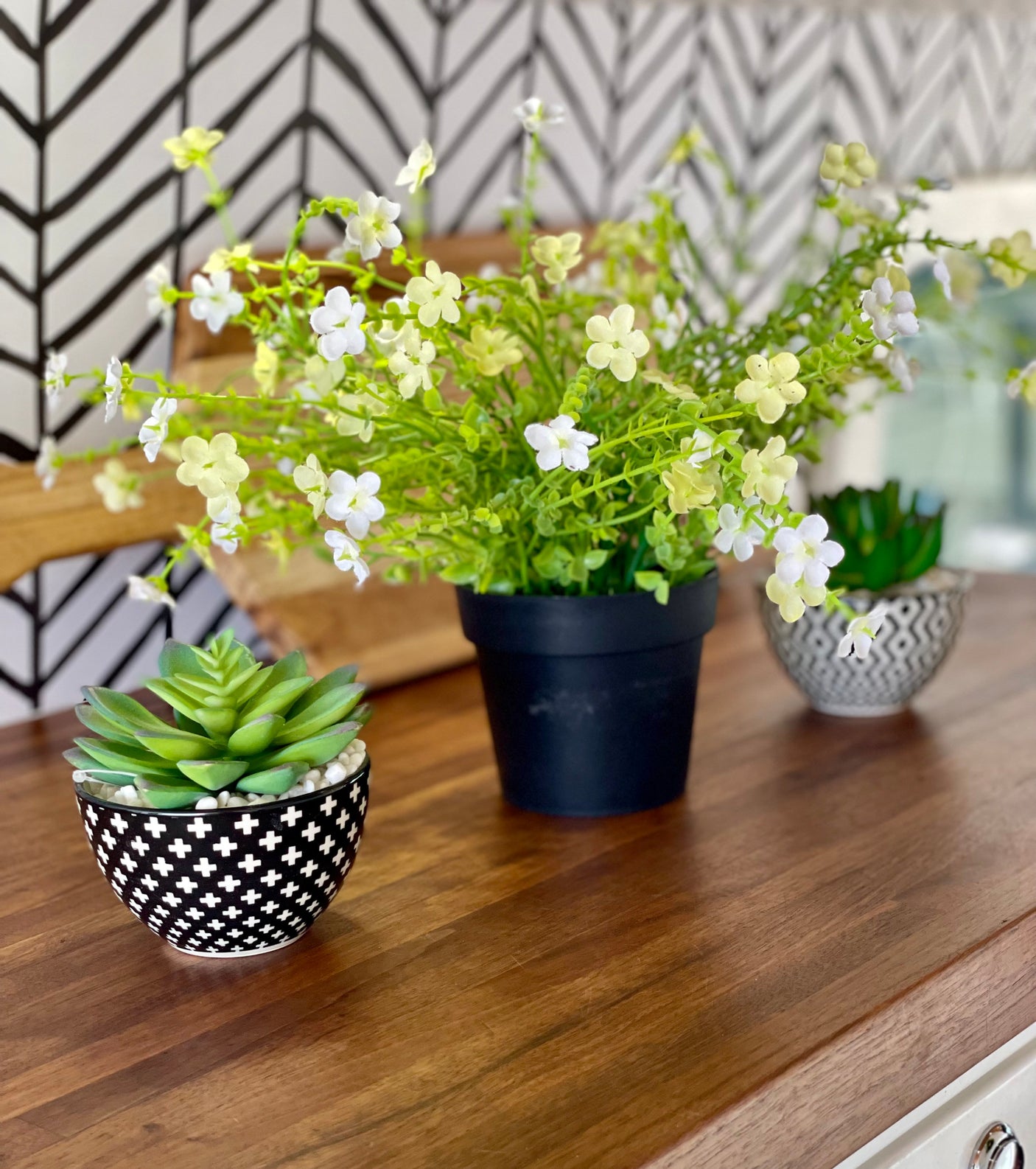 RV rental: Three potted plants (succulents & flowers) on a wood counter, black/white chevron wall.
