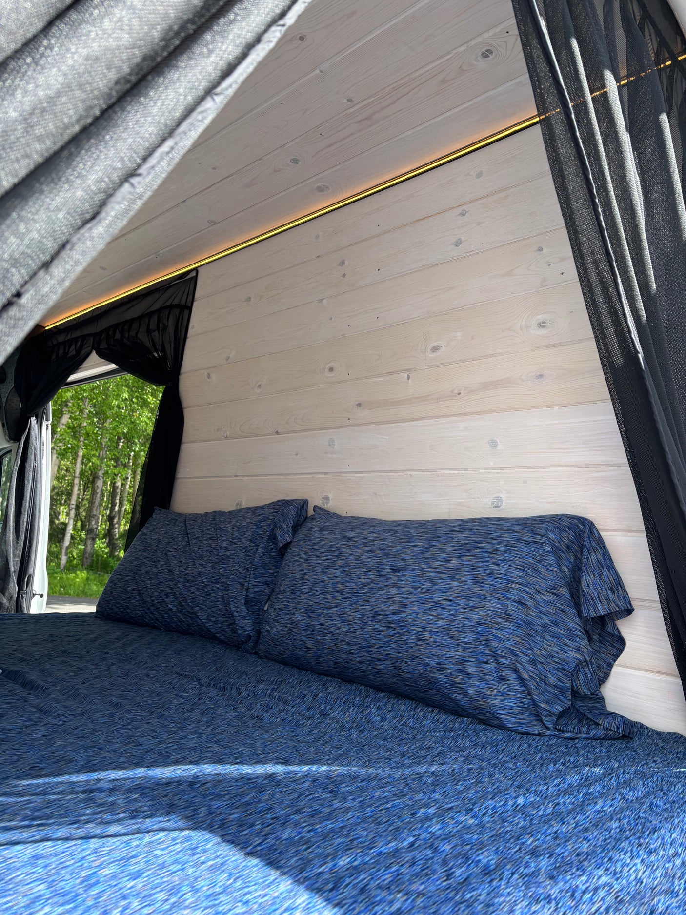 Bright RV rental interior: cozy bed with blue bedding, light wood walls, ambient LED, and lush trees outside.