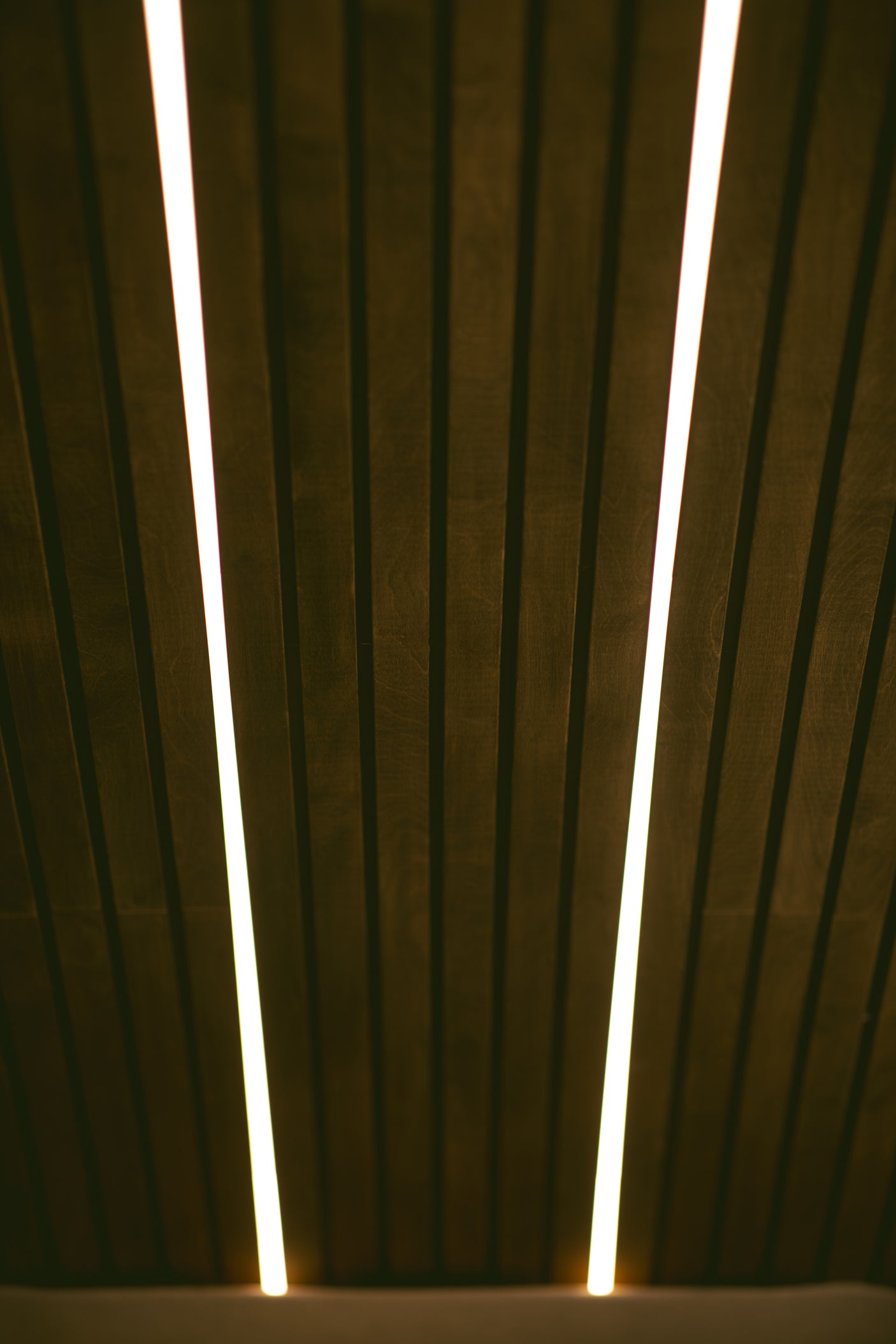 Modern RV rental interior showcasing dark wood slatted walls with bright, integrated LED lighting. Creates a warm ambiance.