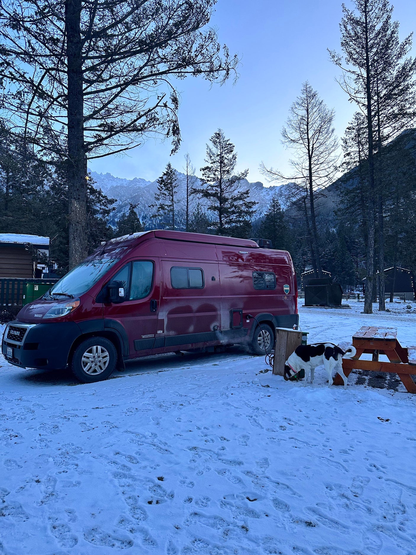 A red RV rental parked in a snowy mountain campsite, with a dog sniffing the ground by a picnic table.