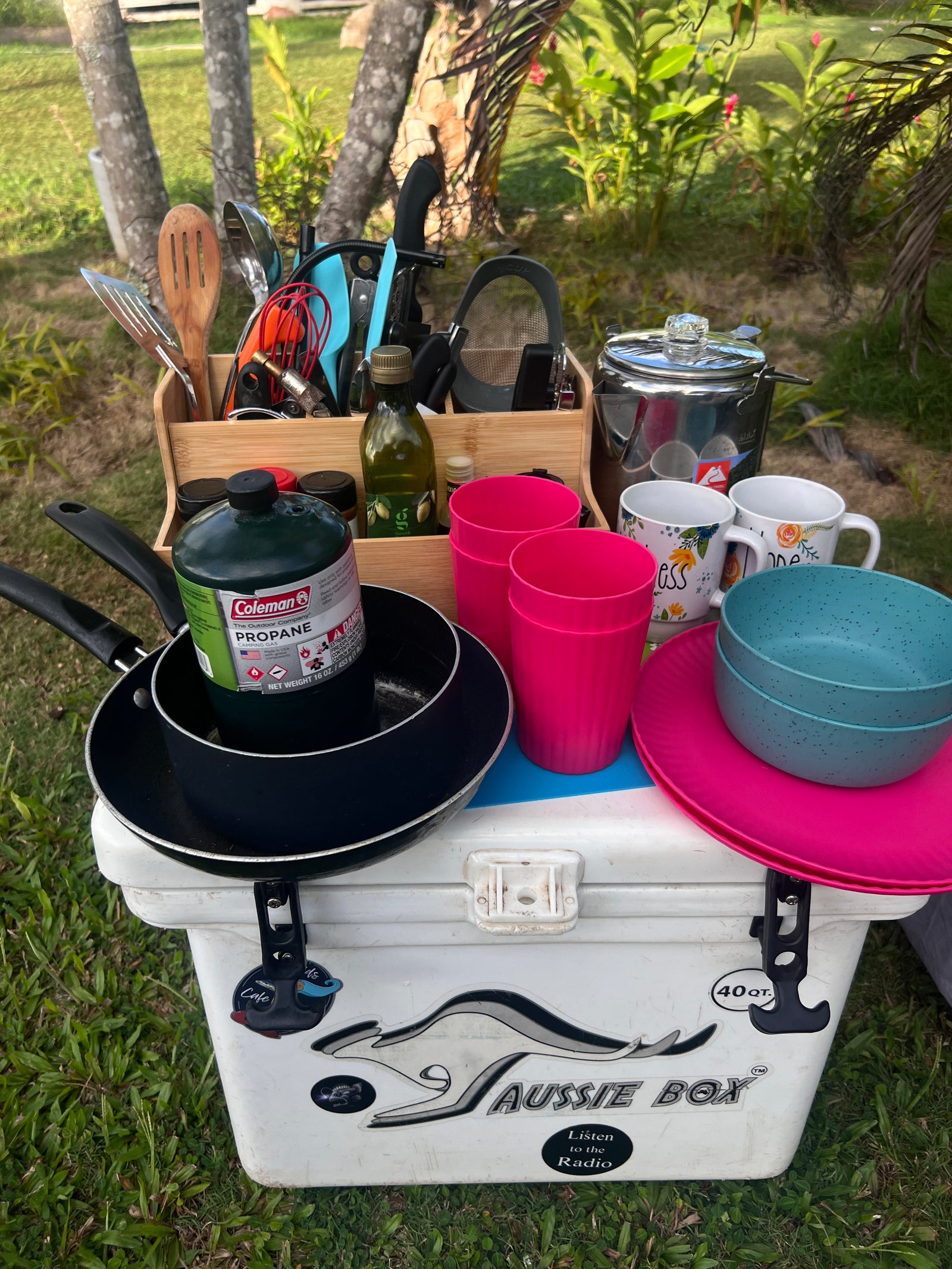 This rv rental ready setup features a portable kitchen with Coleman propane, pans, utensils, and dinnerware on a cooler for convenient outdoor cooking.
