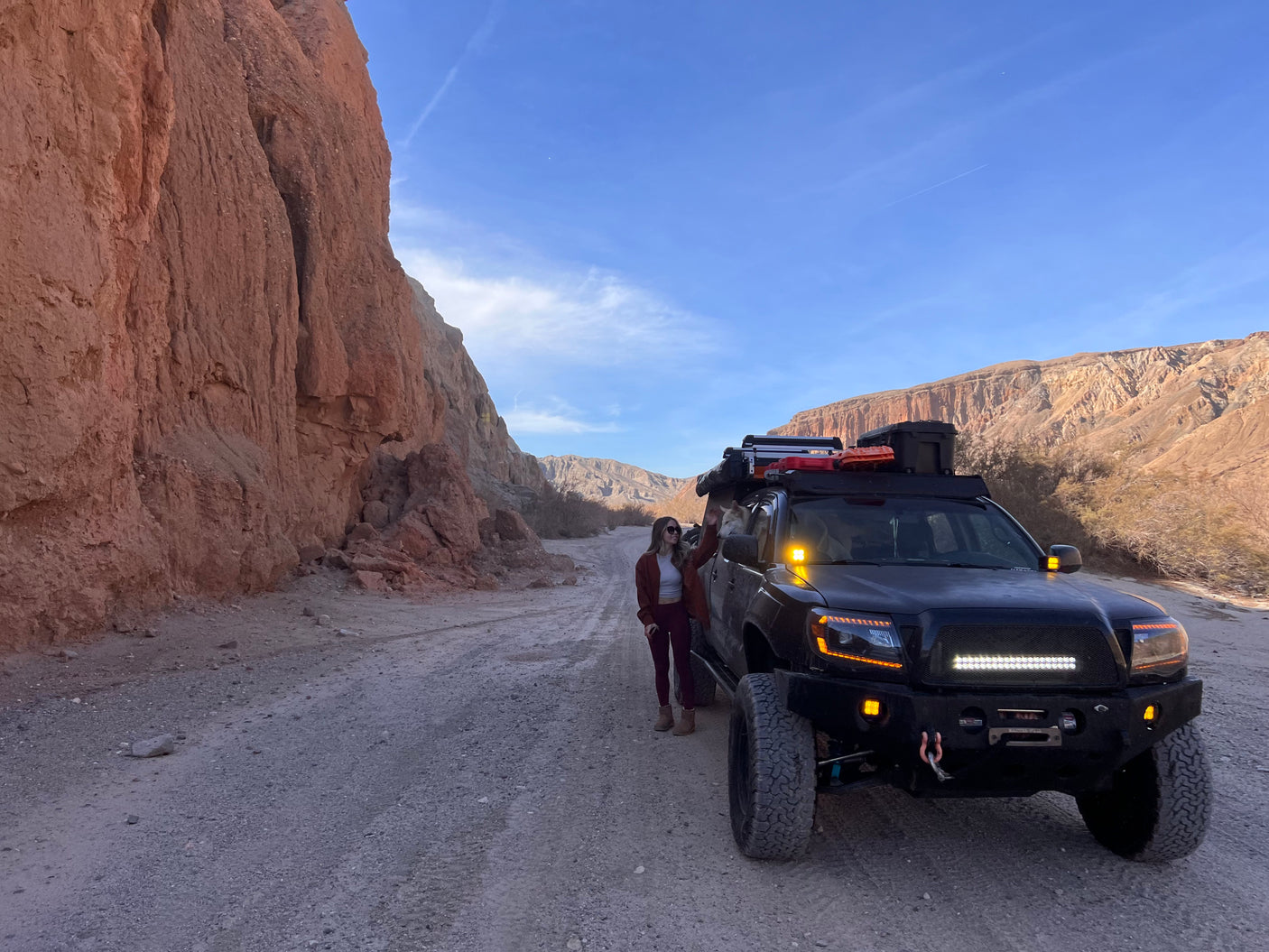 Woman, dog, & off-road truck in desert canyon. A rugged adventure, differing from an rv rental road trip.