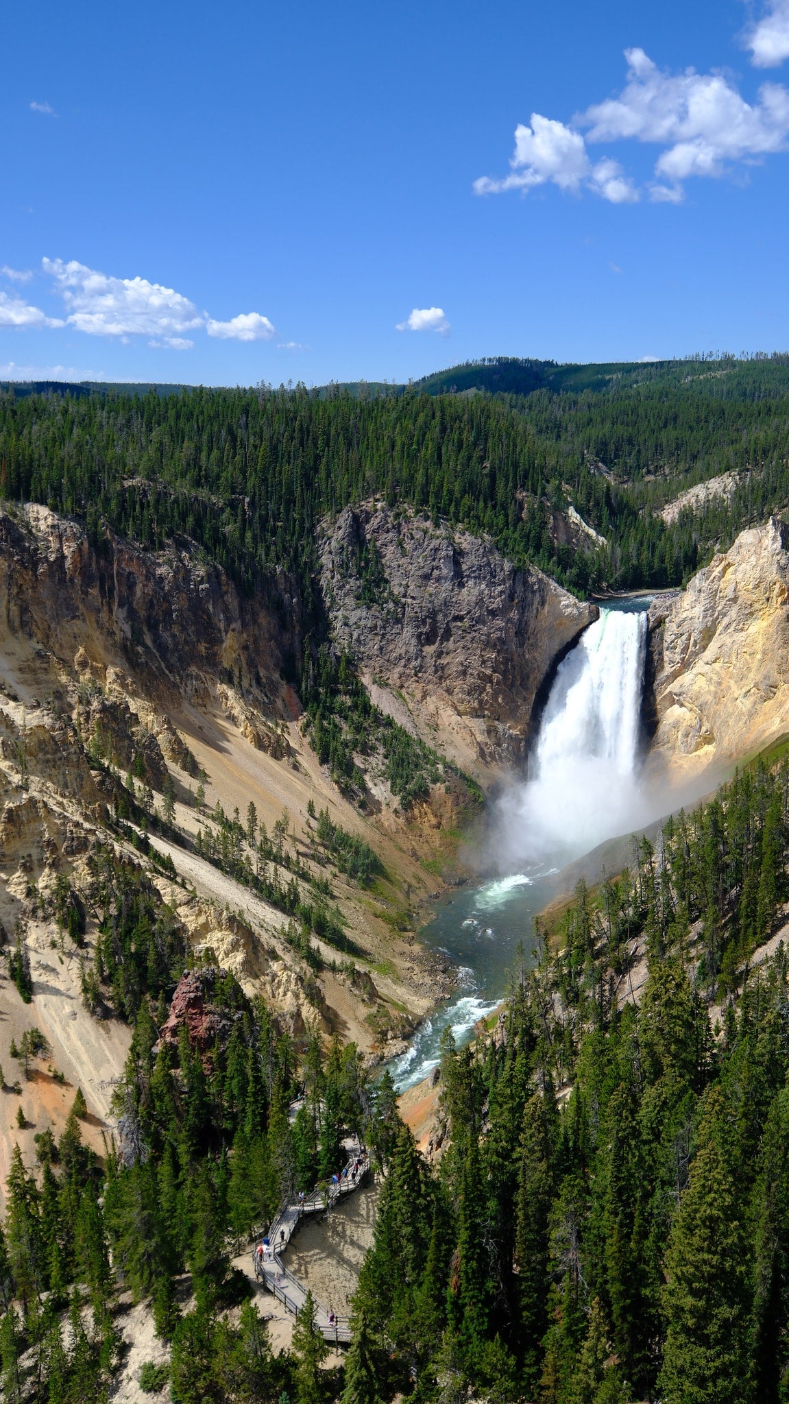 surrounded by vibrant purple wildflowers and a pine forest under blue sky.|Explore Yellowstone's vibrant geothermal landscape: light blue hot springs
