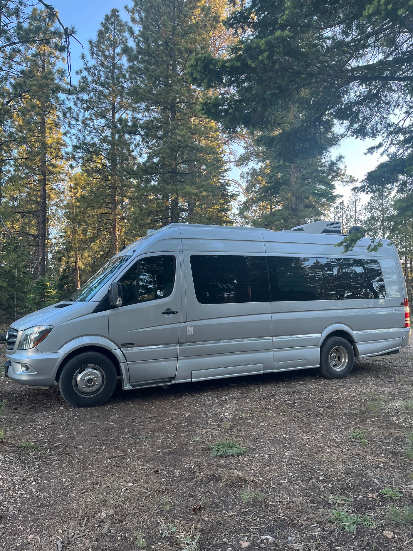 This silver Mercedes Sprinter van rv rental is nestled in a sunny pine forest, perfect for outdoor adventures.