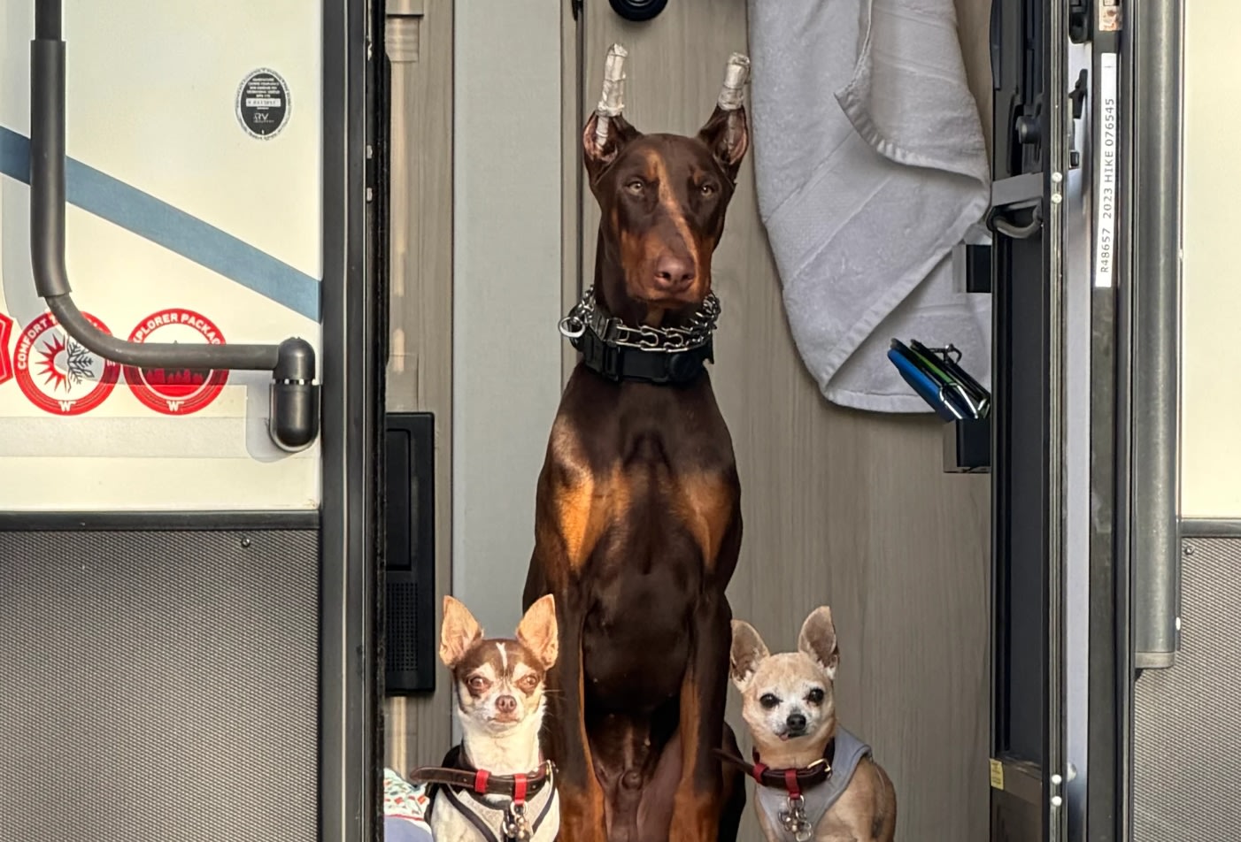 parked at a gas station