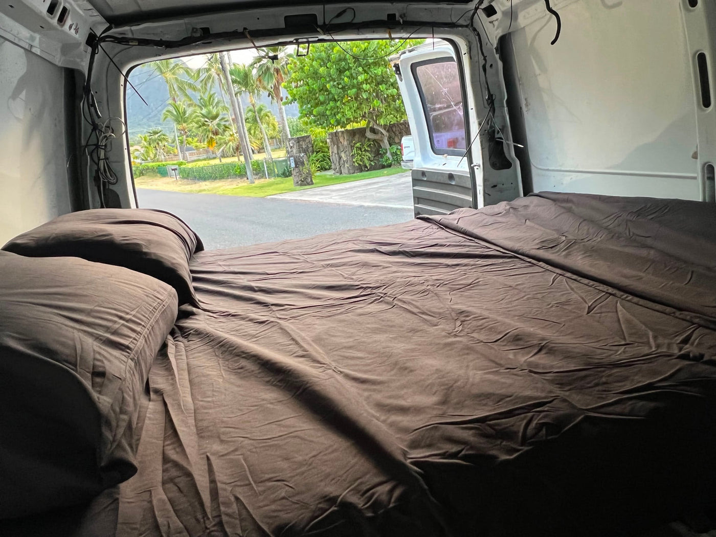 looking out to a scenic road lined with palm trees and mountains in the background.|Inside an RV rental van — photo 5