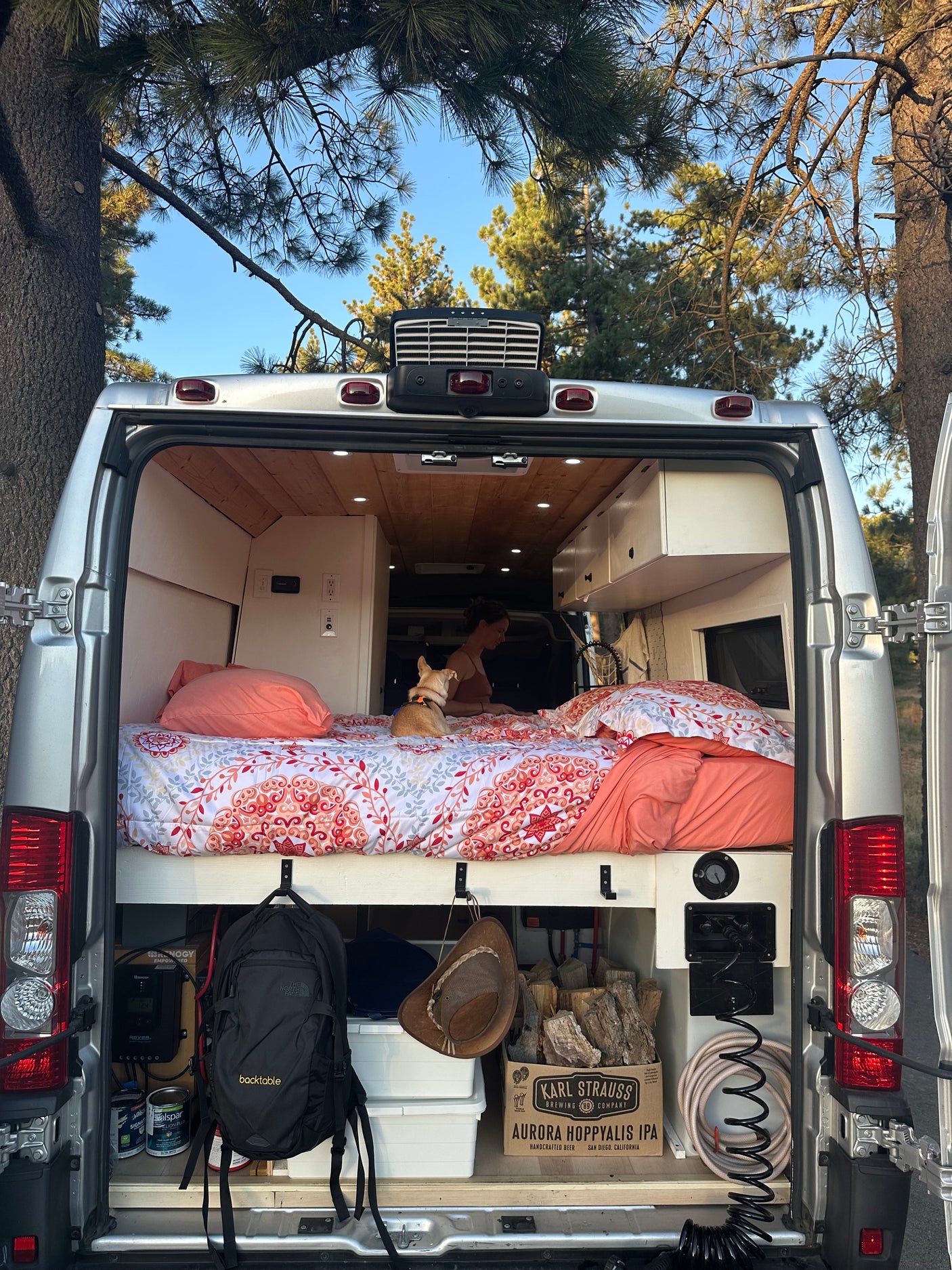 Cozy rv rental interior reveals a person, dog, bed, and smart storage under pine trees, perfect for van life adventure.