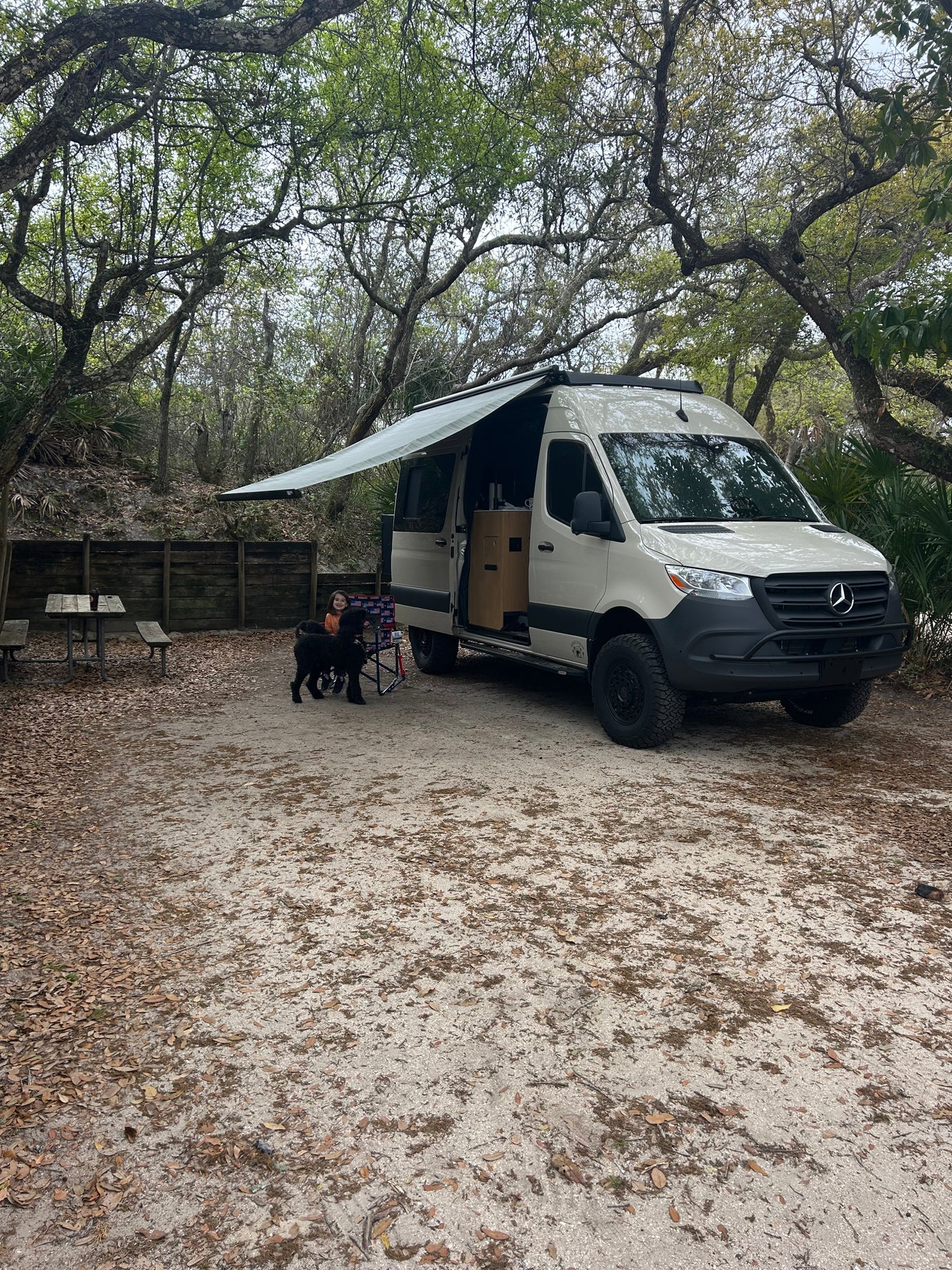 Relaxing at a wooded campsite with our RV rental Sprinter van, complete with an extended awning, a child, and a dog.
