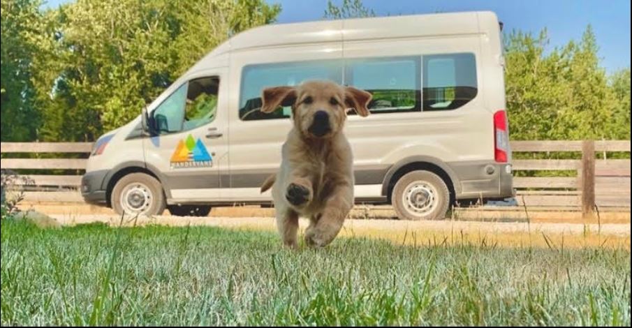 with a white Wandervans RV rental van and fence in the background. Perfect for travel adventures!|An RV rental van rests by a stunning turquoise lake with snow-capped mountains and evergreen forests. Perfect camper travel.|Cozy RV rental interior with a bed